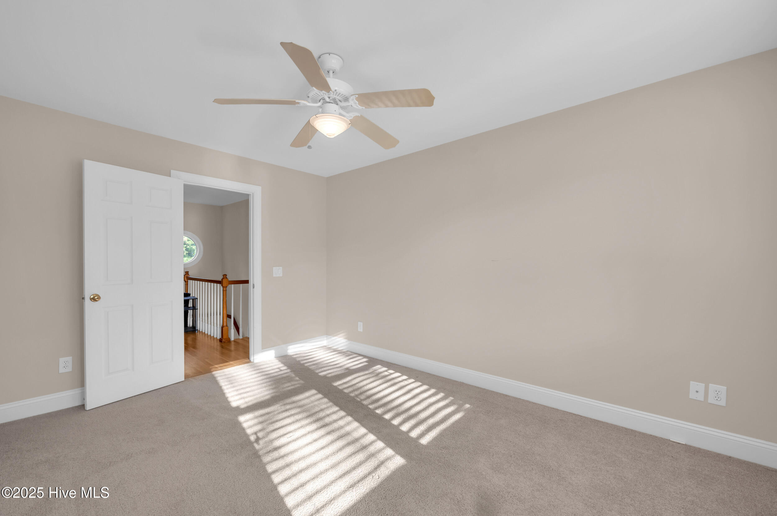 100542243 | Photo 25