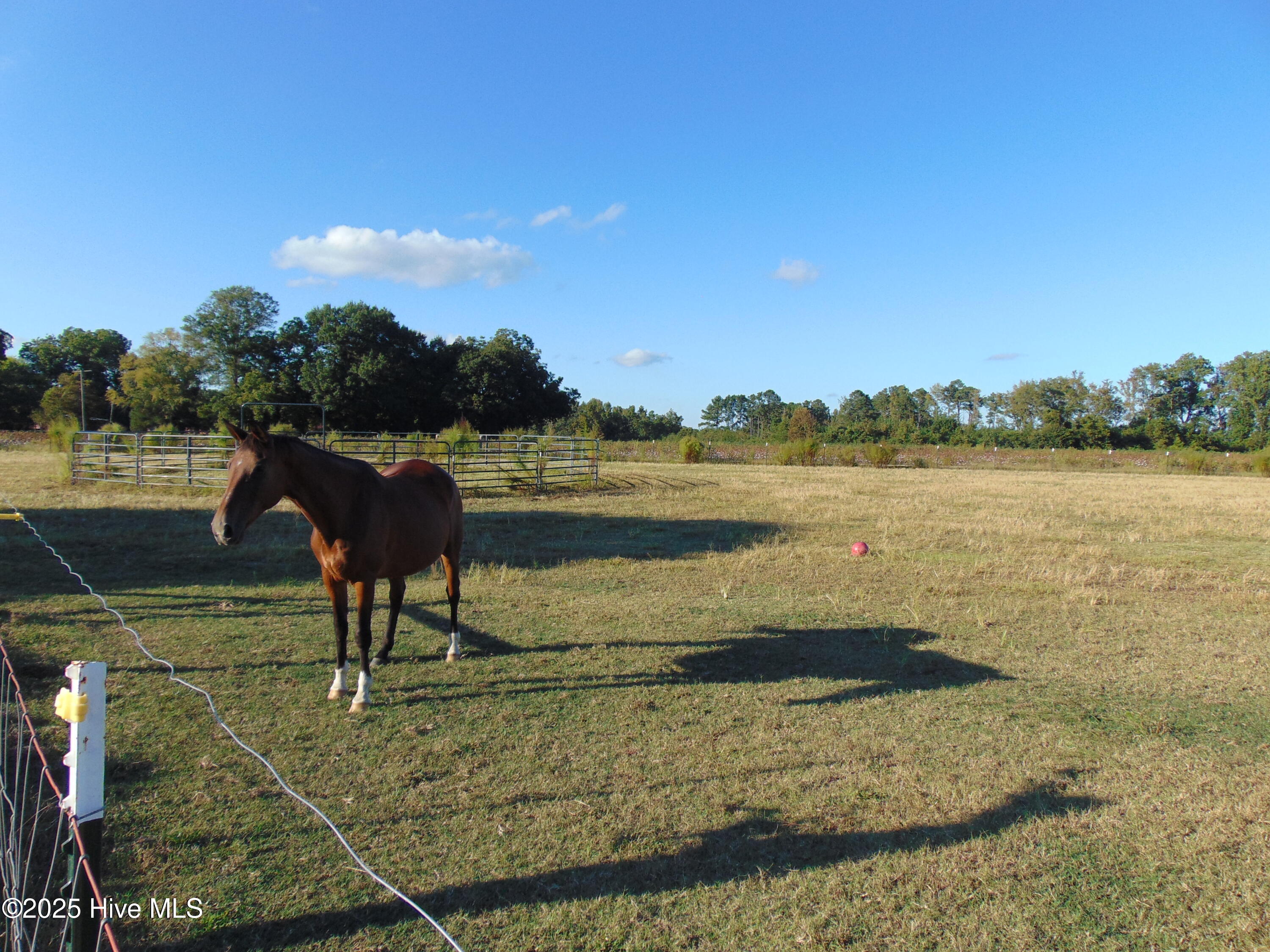 13619 Us Highway 258, Scotland Neck, NC, 27874