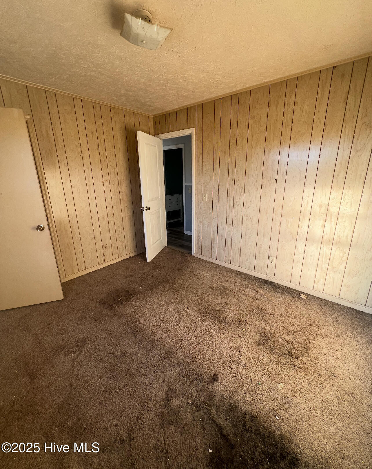 100545246 | Photo 11