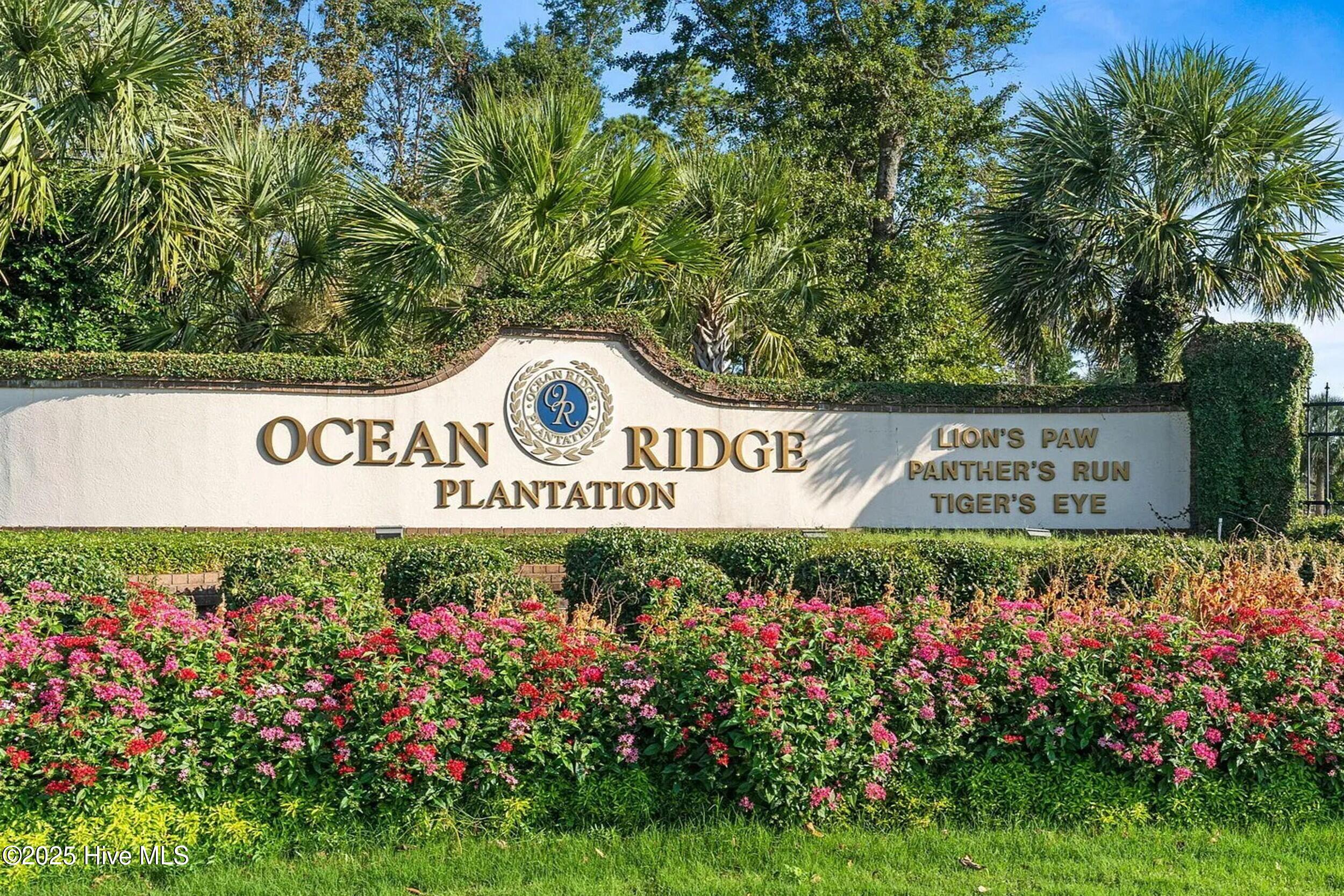 100533787 | Photo 50