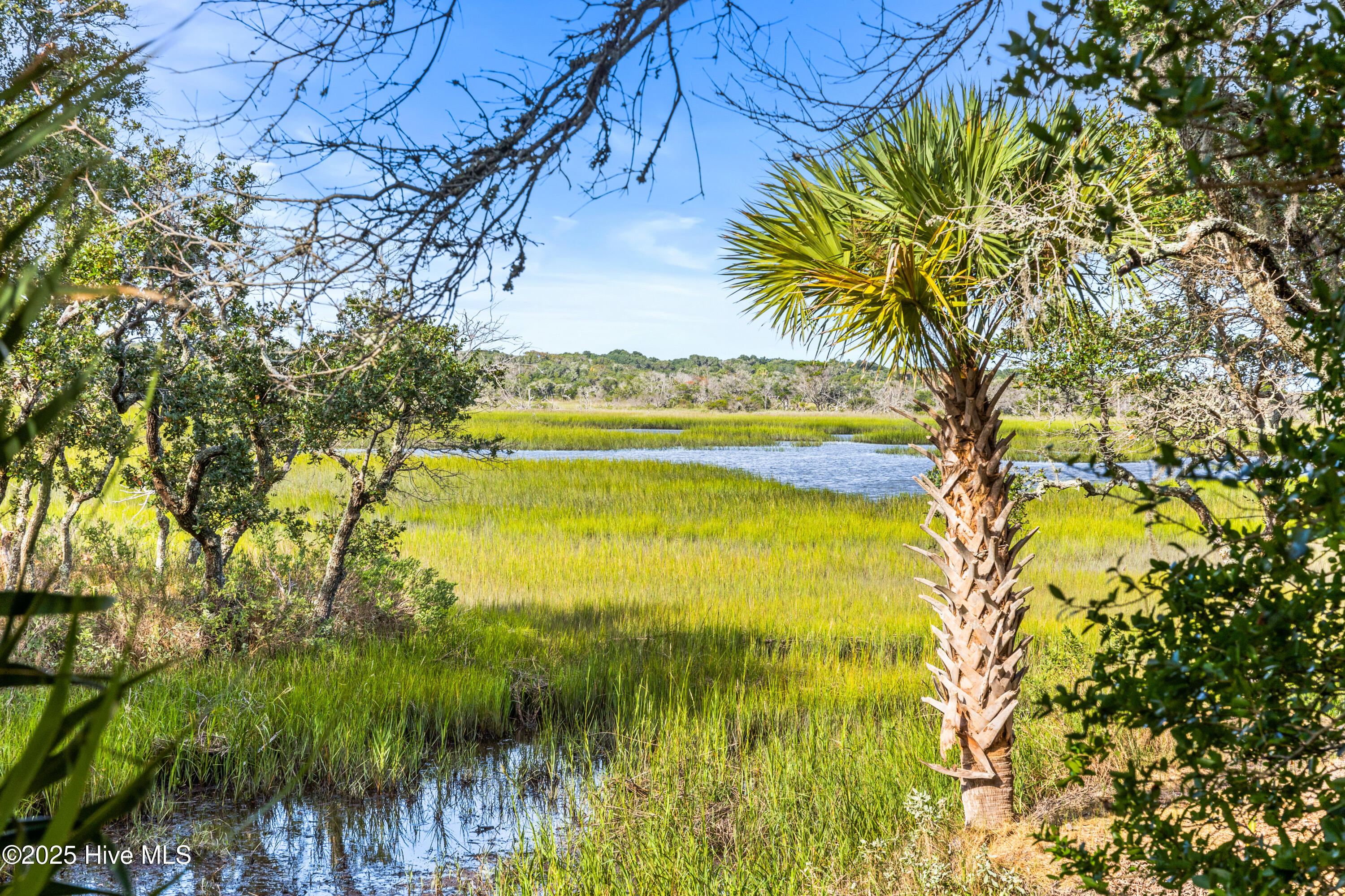 100531454 | Photo 78