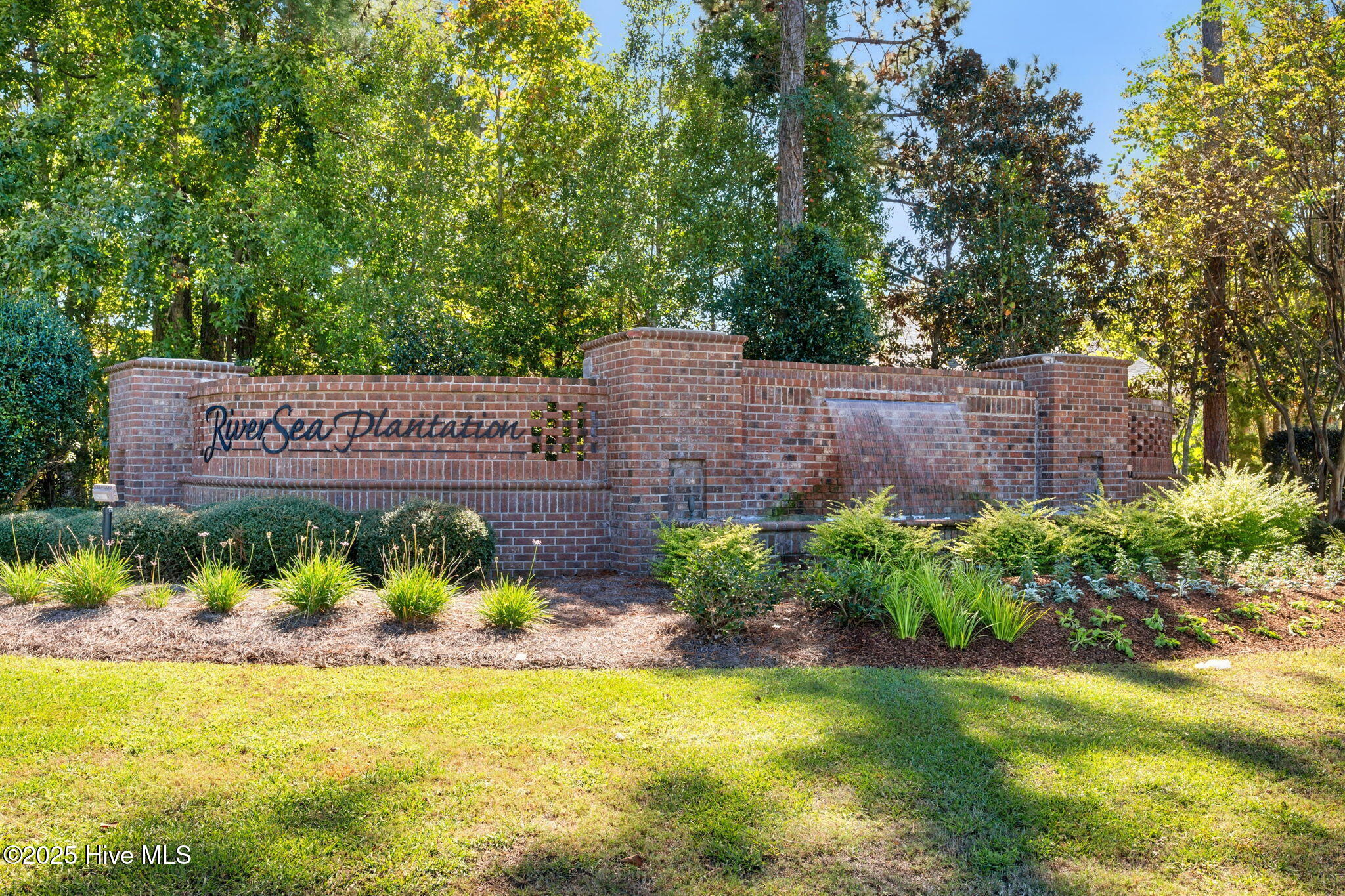 100538167 | Photo 54