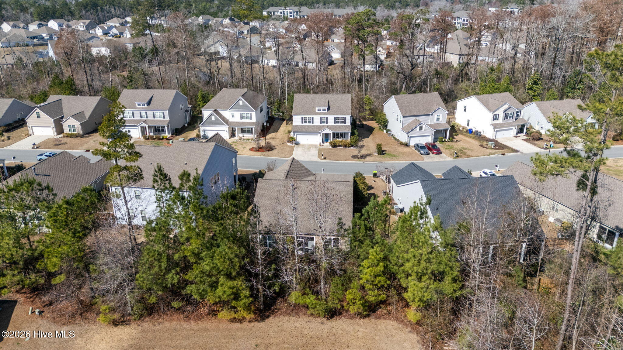 100557369 | Photo 12