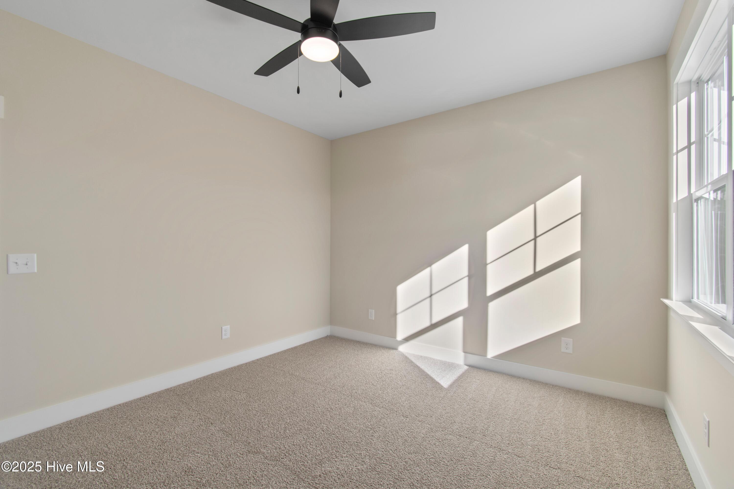 100520444 | Photo 49