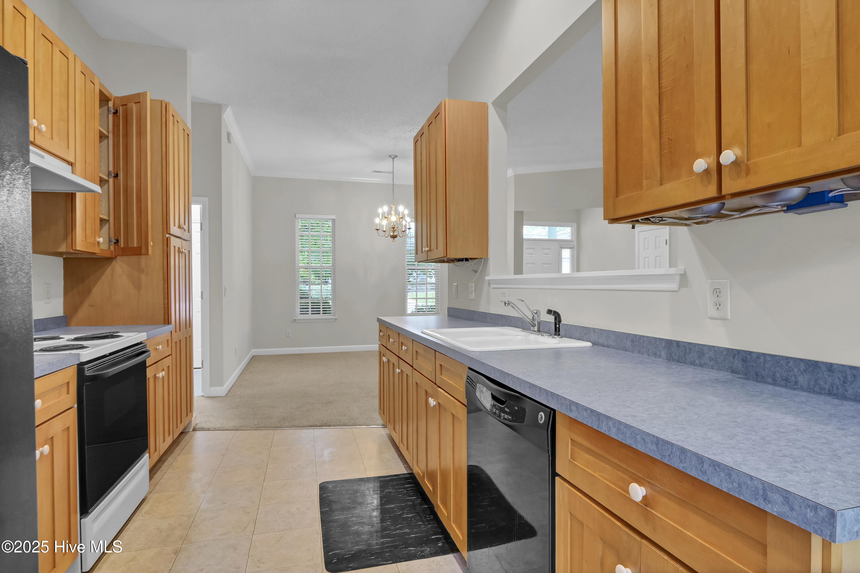 100510157 | Photo 17