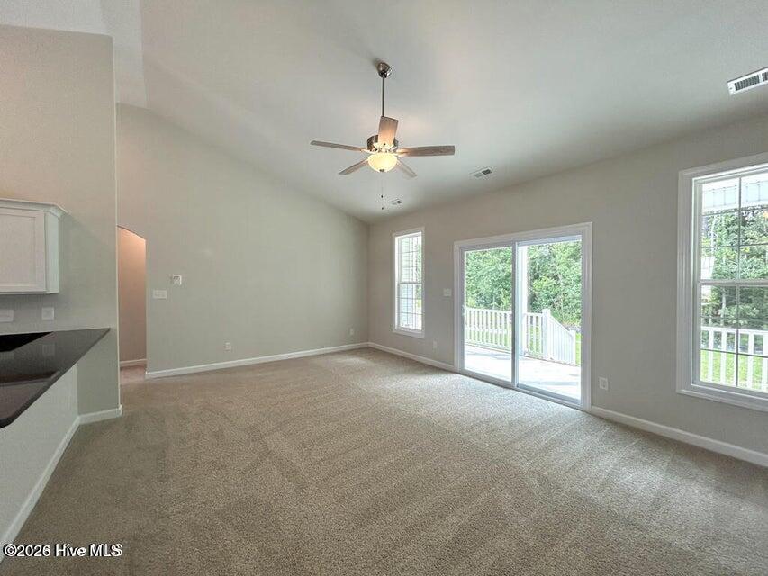 100553181 | Photo 12