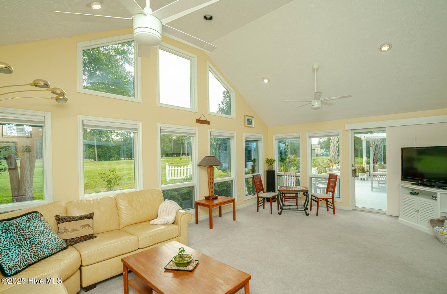 100524429 | Photo 22