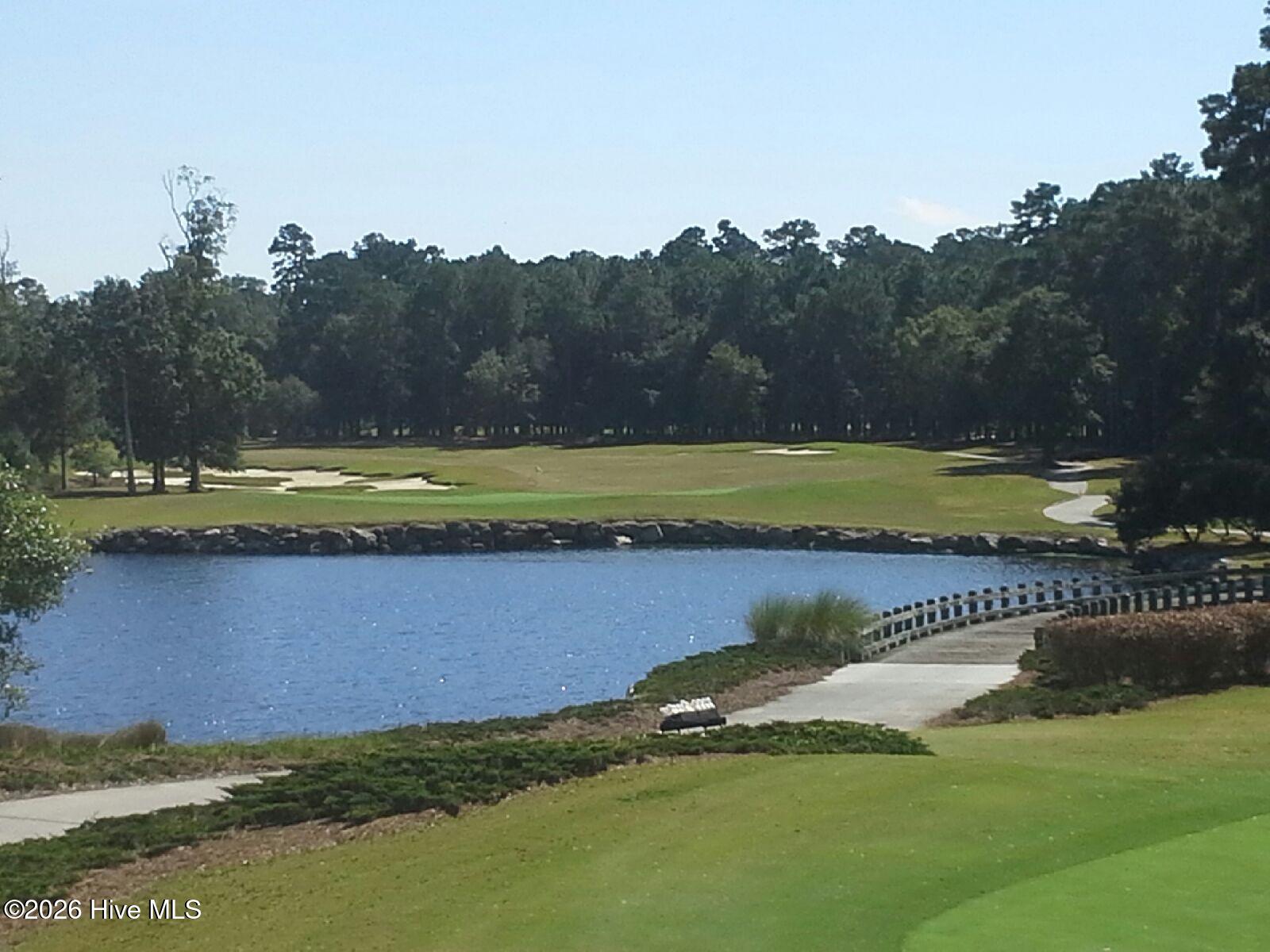 100559177 | Photo 29