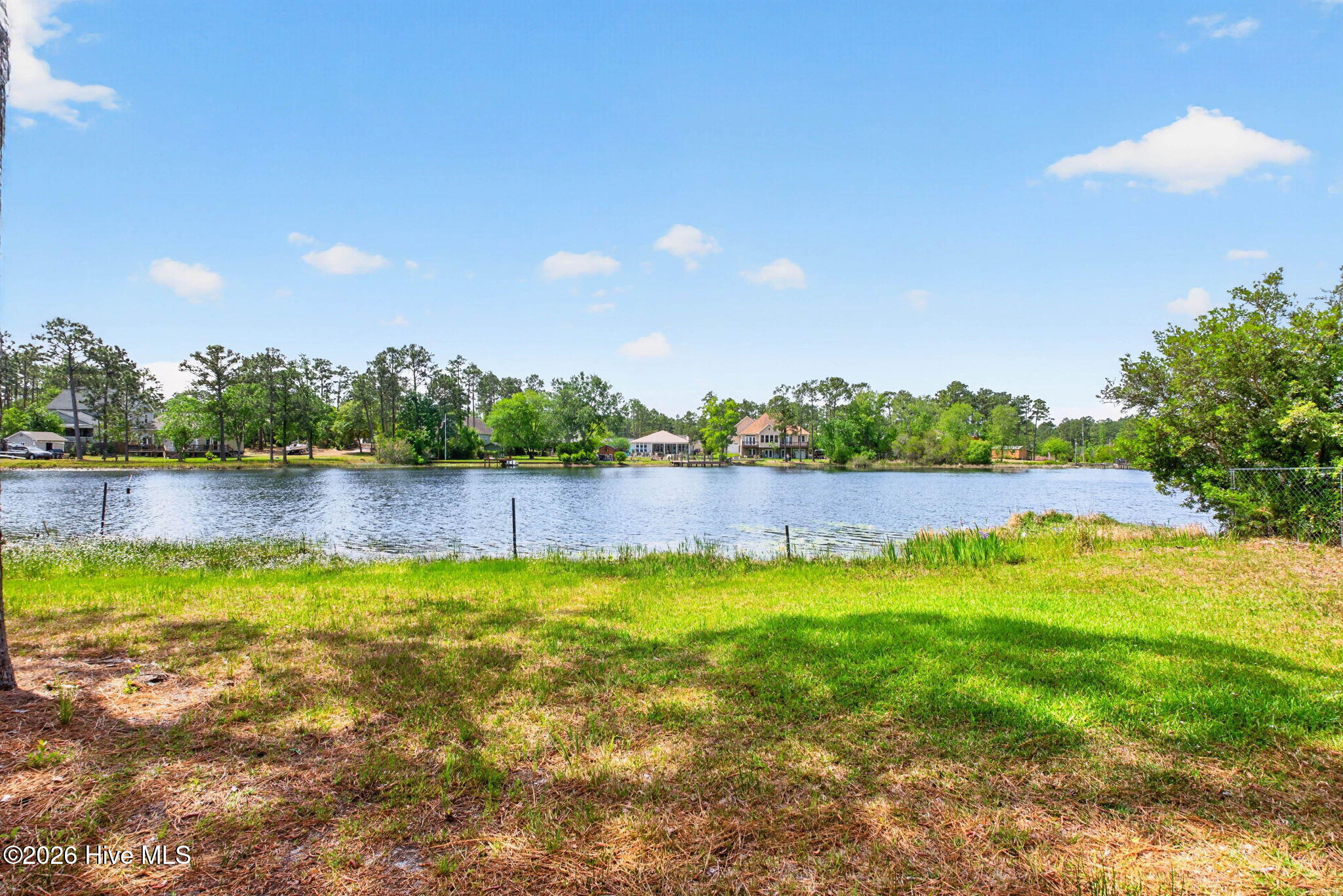 100569405 | Photo 51