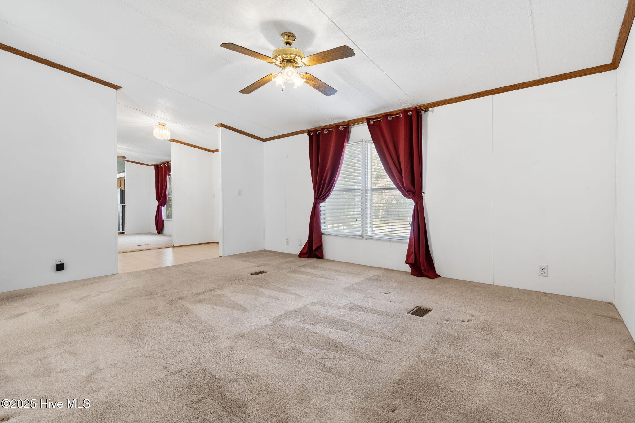 100541276 | Photo 22