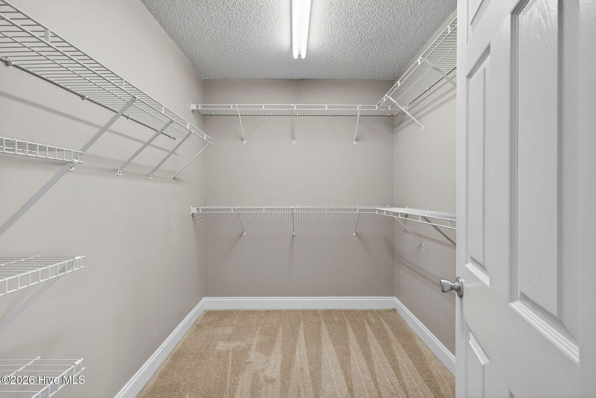 100567881 | Photo 23