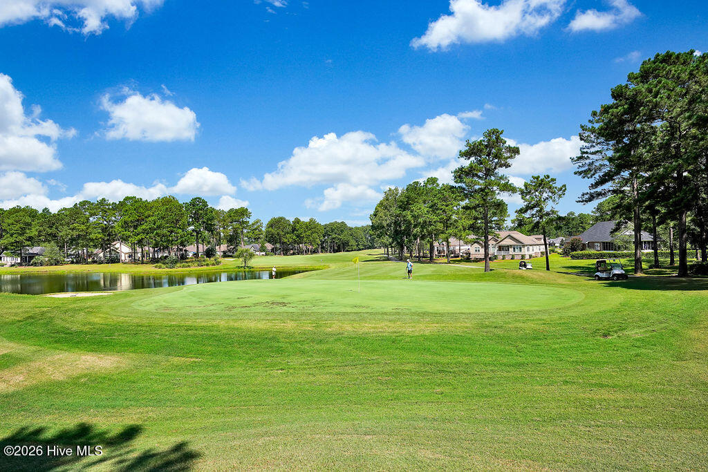 100567236 | Photo 25