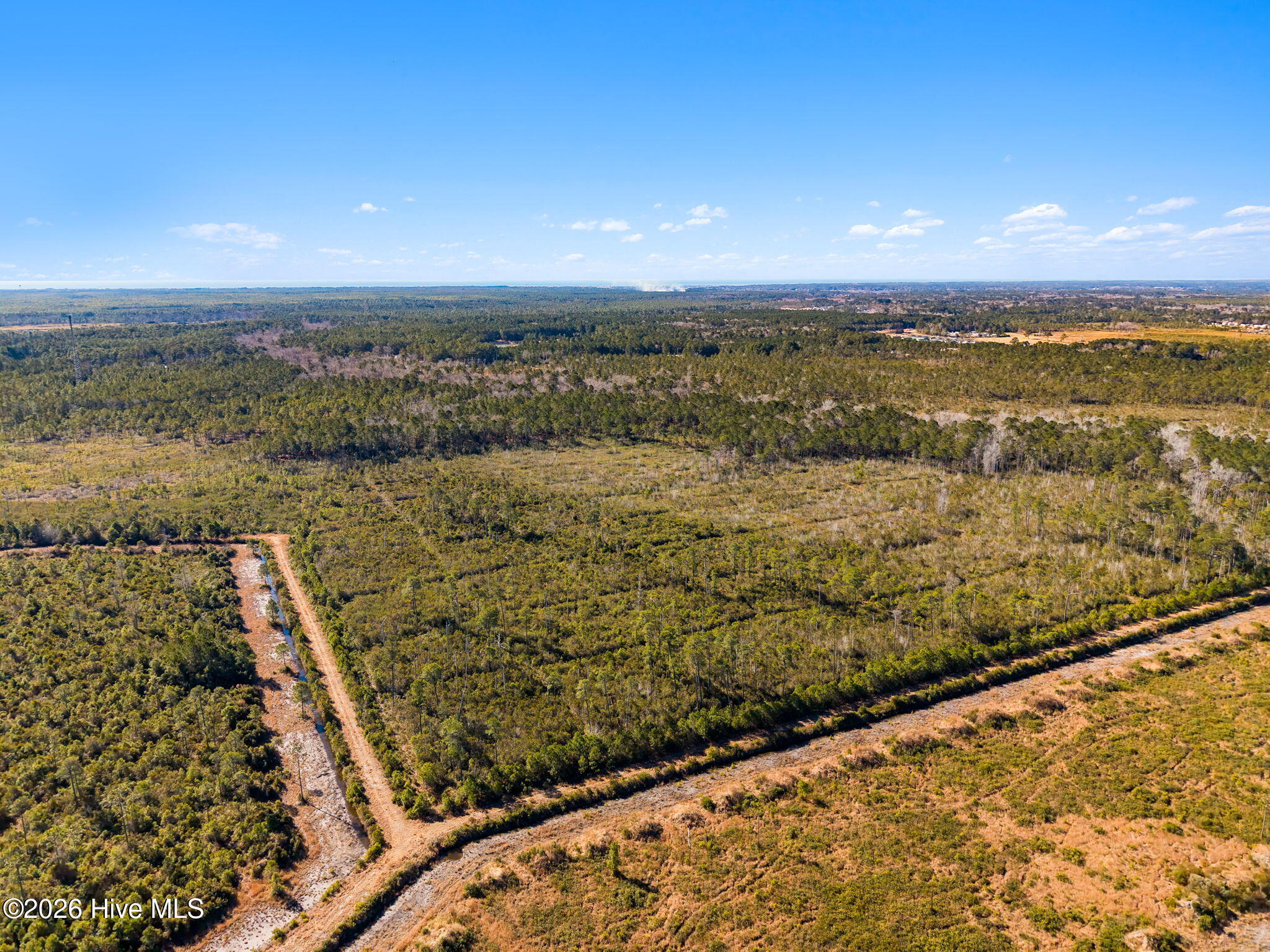 100555013 | Photo 10