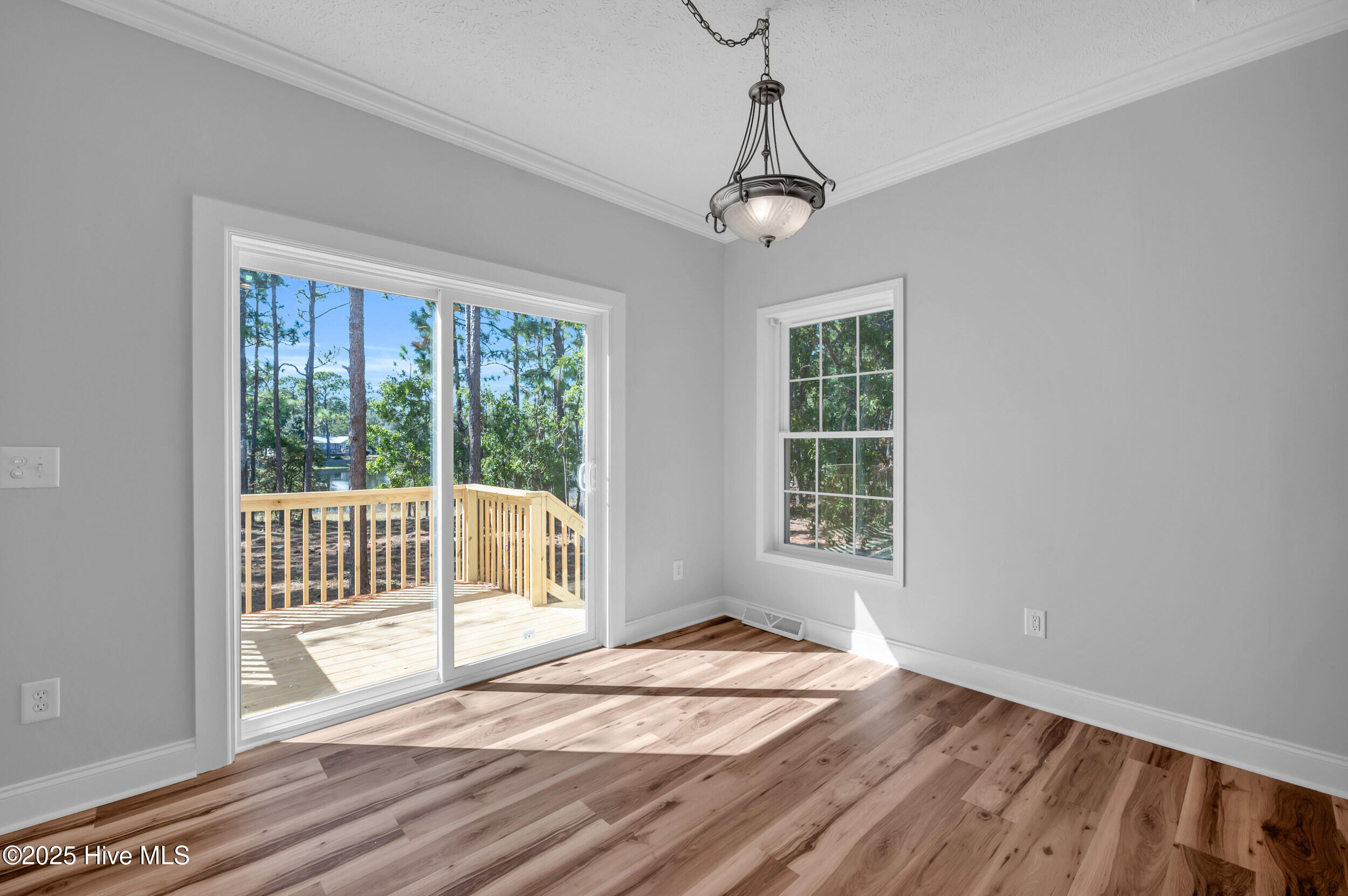 100537986 | Photo 25