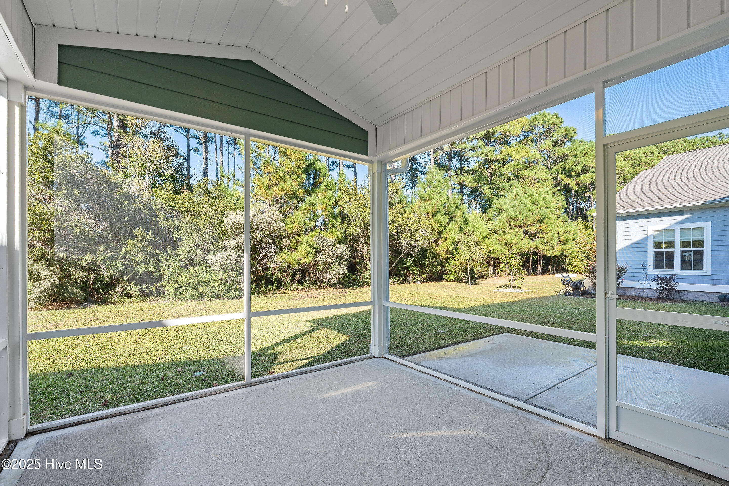 100501651 | Photo 17