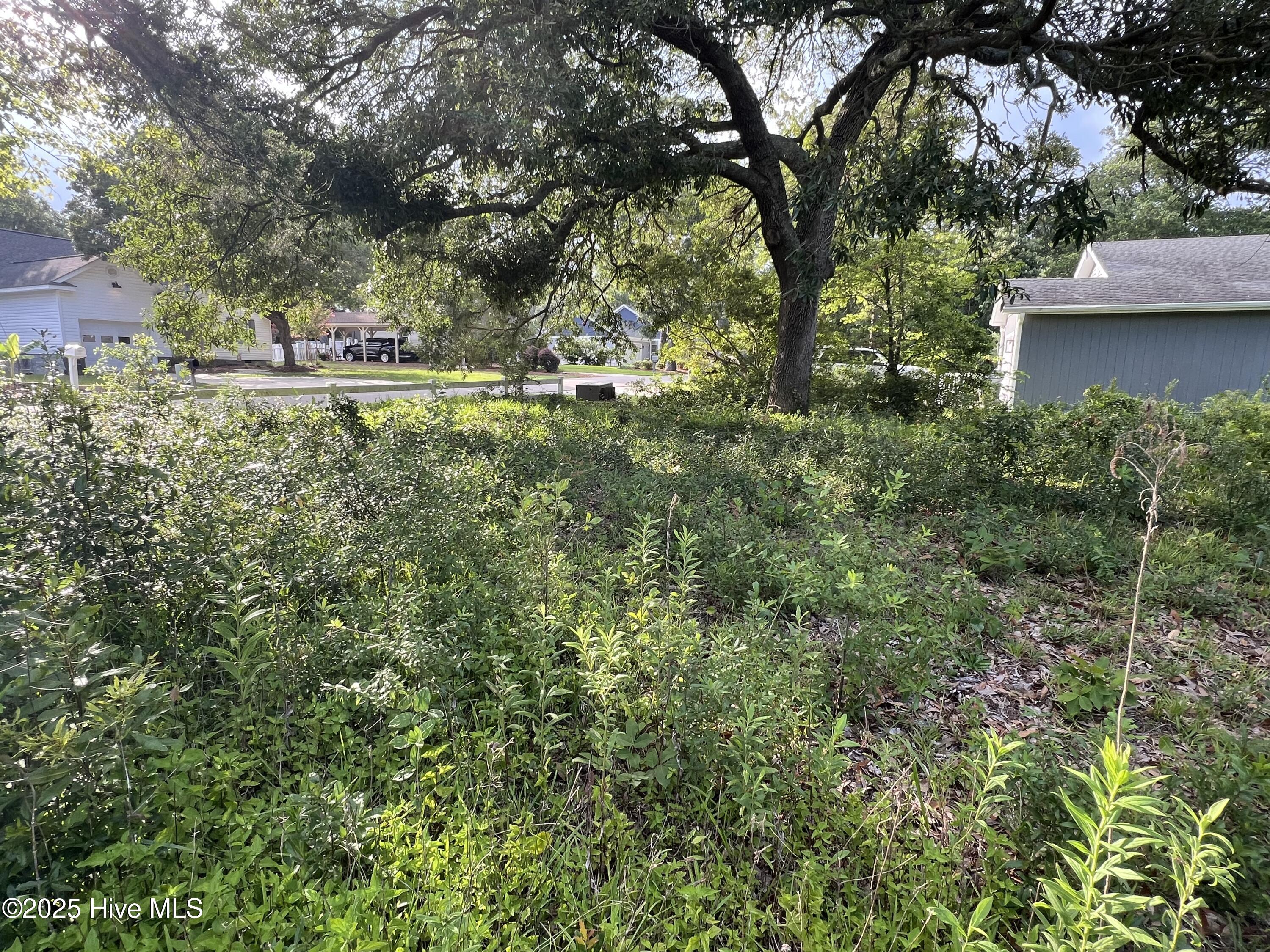 100521126 | Photo 10