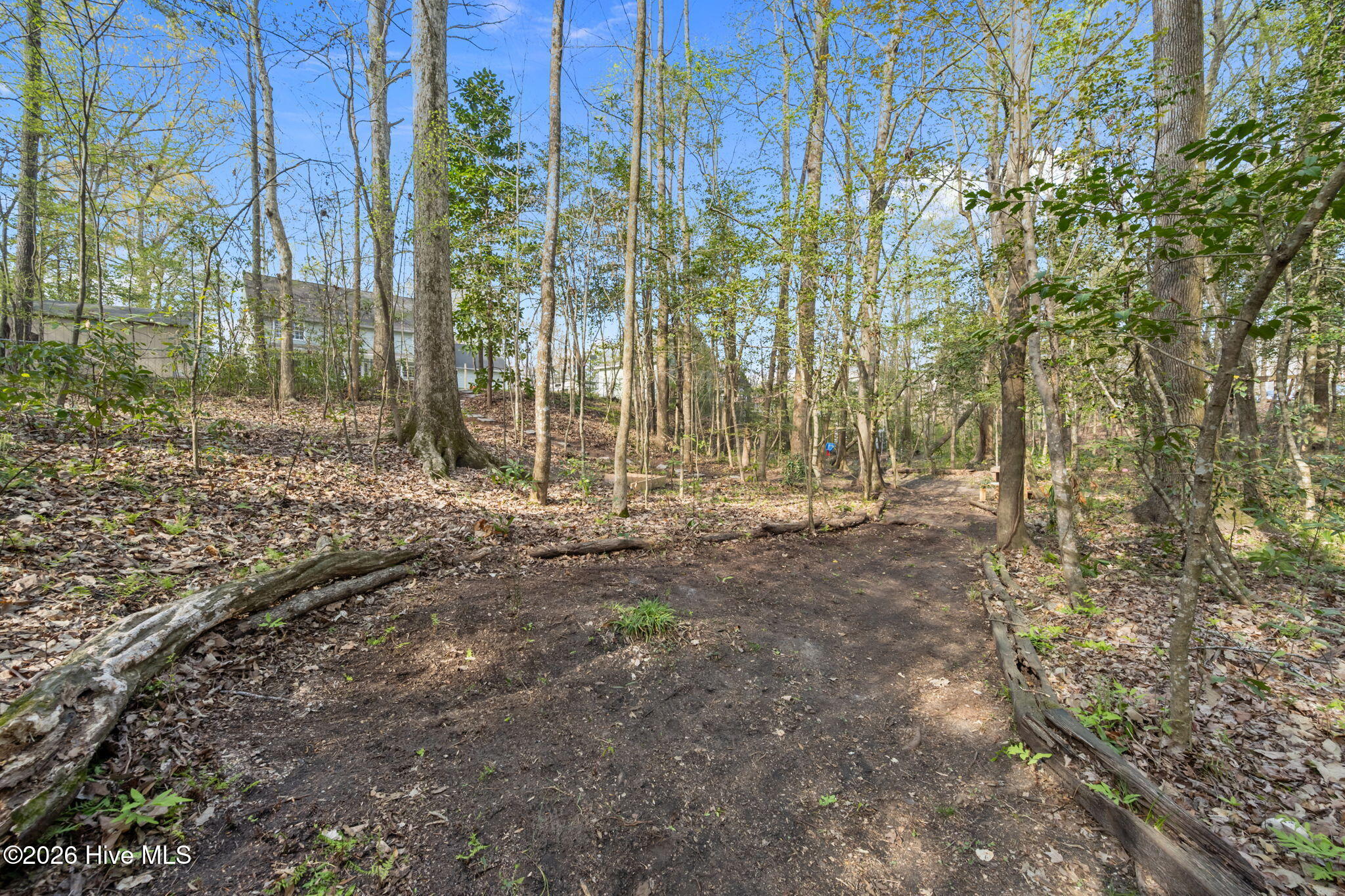 100561787 | Photo 57