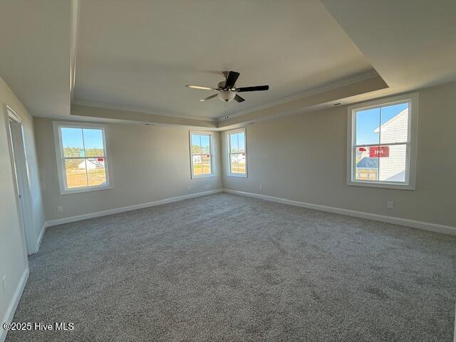 100537825 | Photo 21