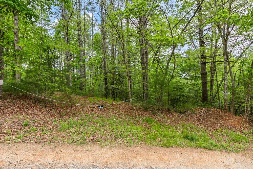 149 Sandy Lane, Murphy, NC 28906 Listing Photo  101