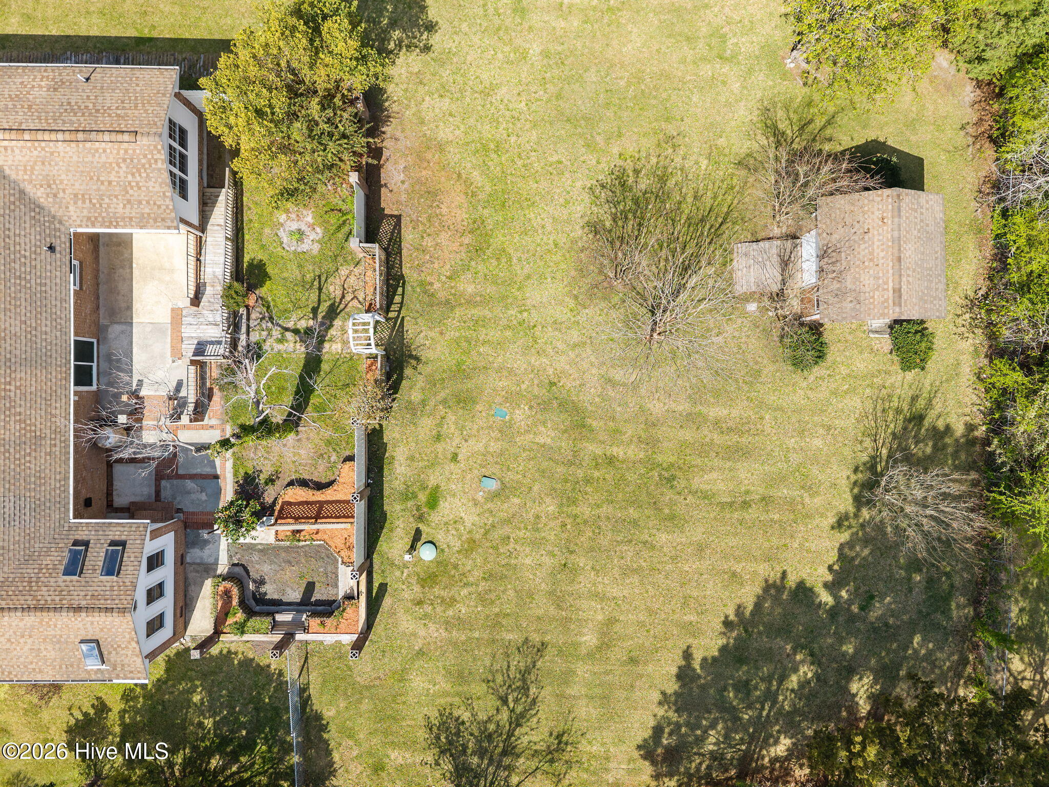 100564387 | Photo 46