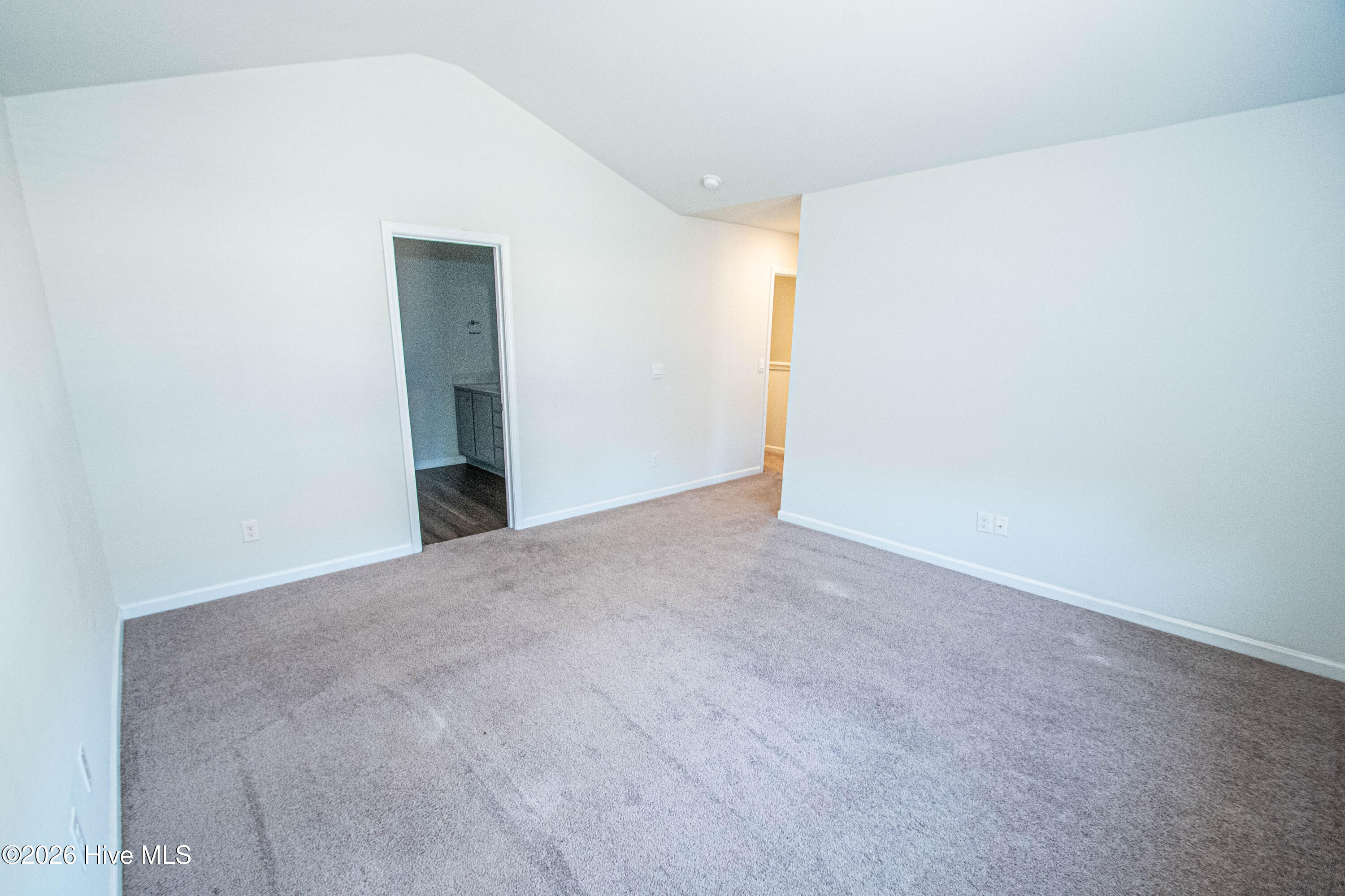 100553957 | Photo 38