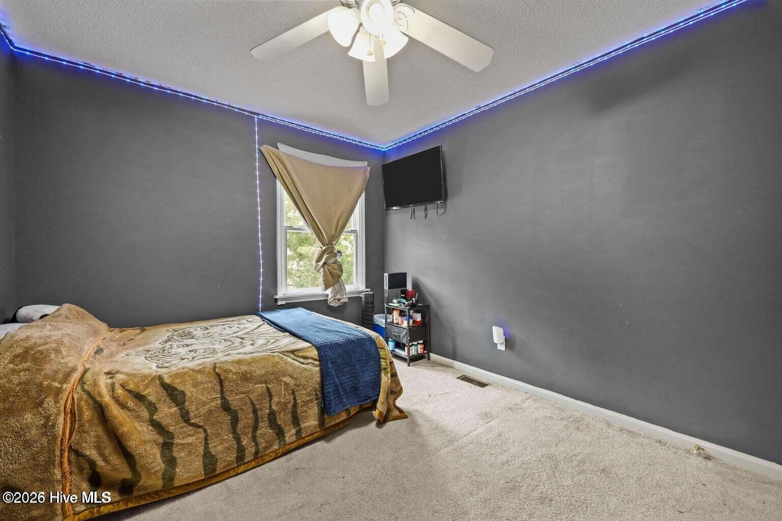 100559152 | Photo 15