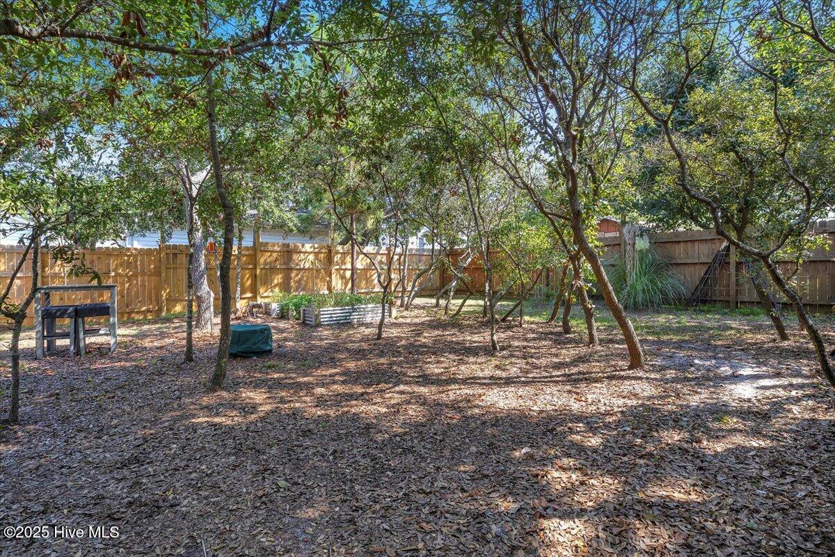 100532549 | Photo 48