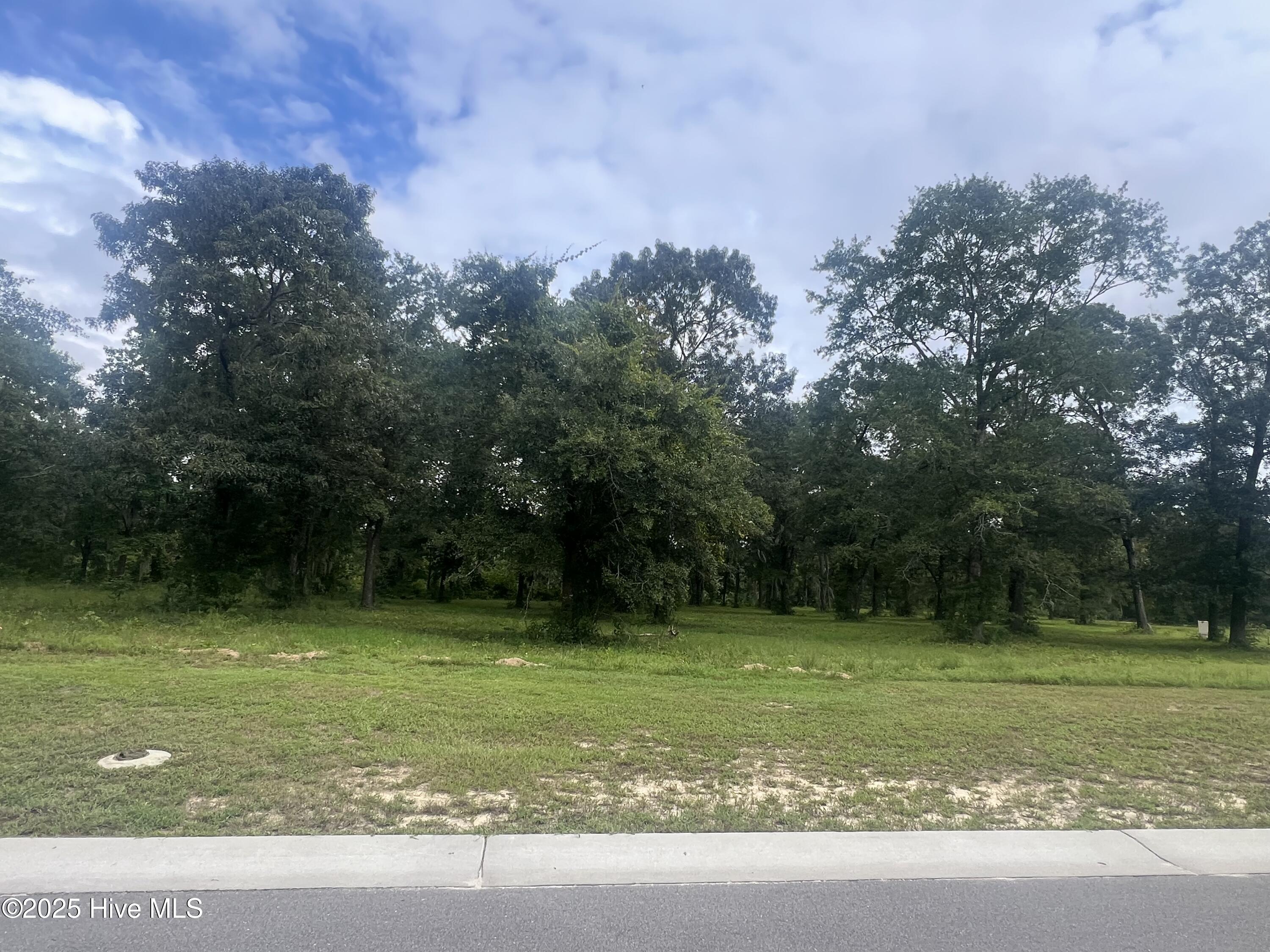 9136  Fallen Pear Lane NE  Leland, North Carolina 9136 Fallen Pear Lane NE