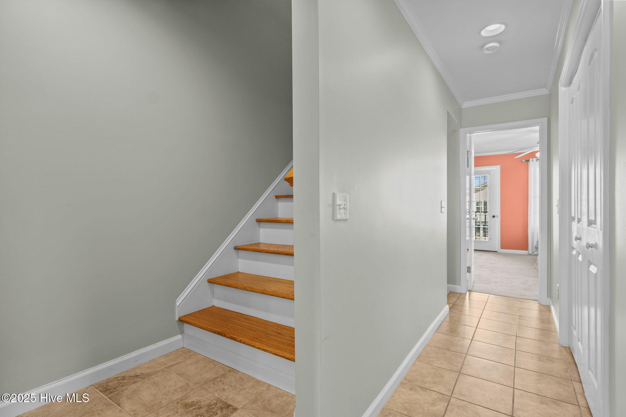 100528642 | Photo 38