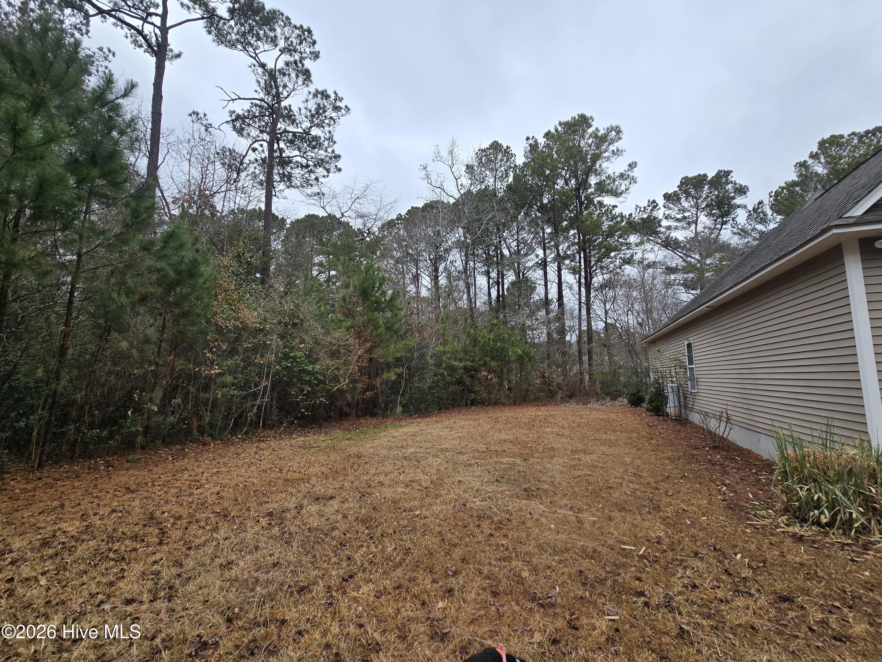 100547360 | Photo 41