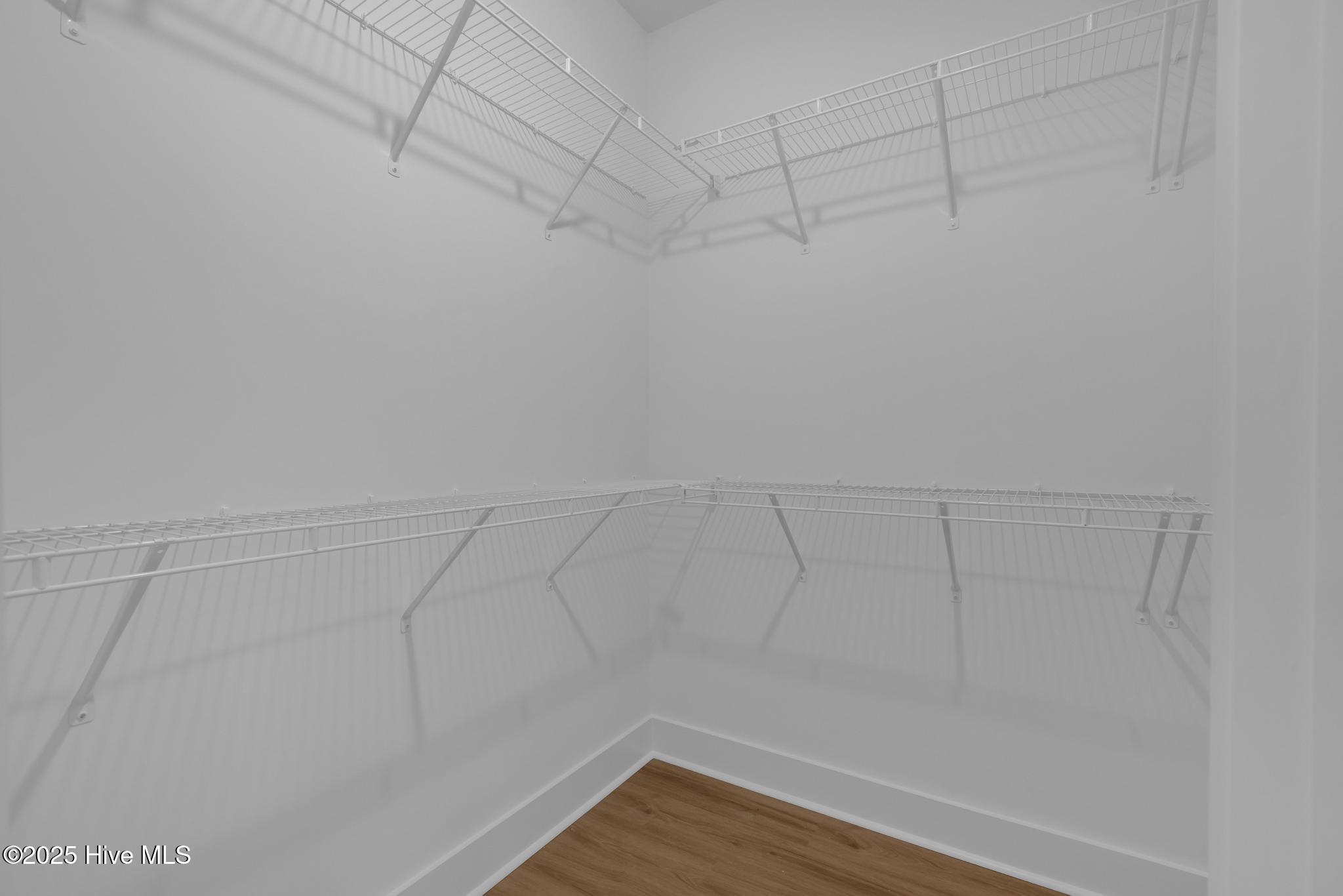 100537116 | Photo 23