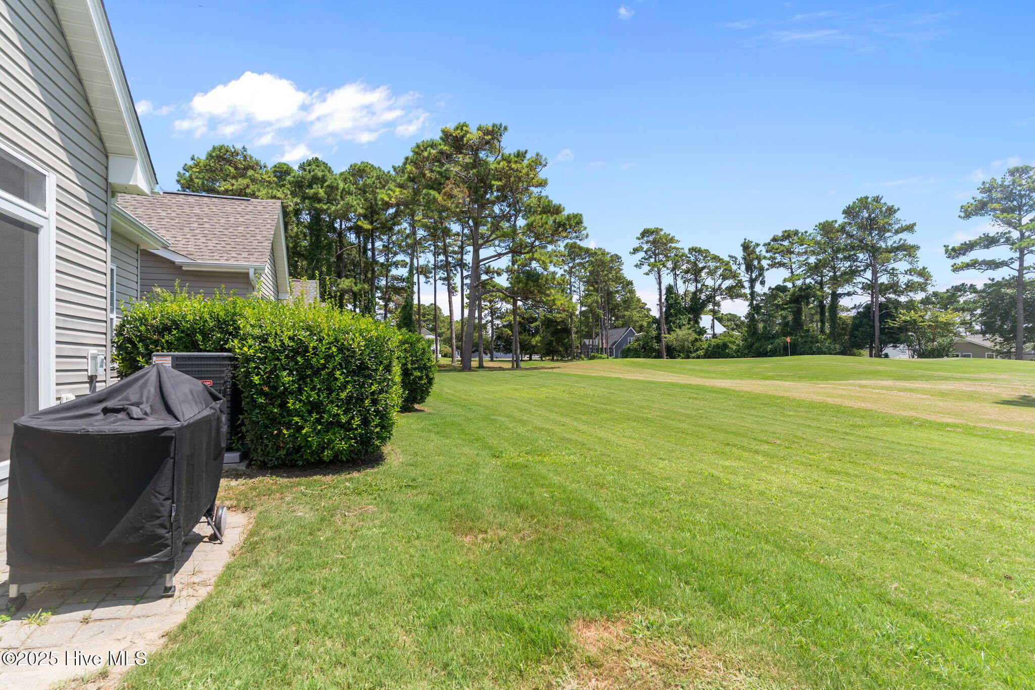 100522397 | Photo 27