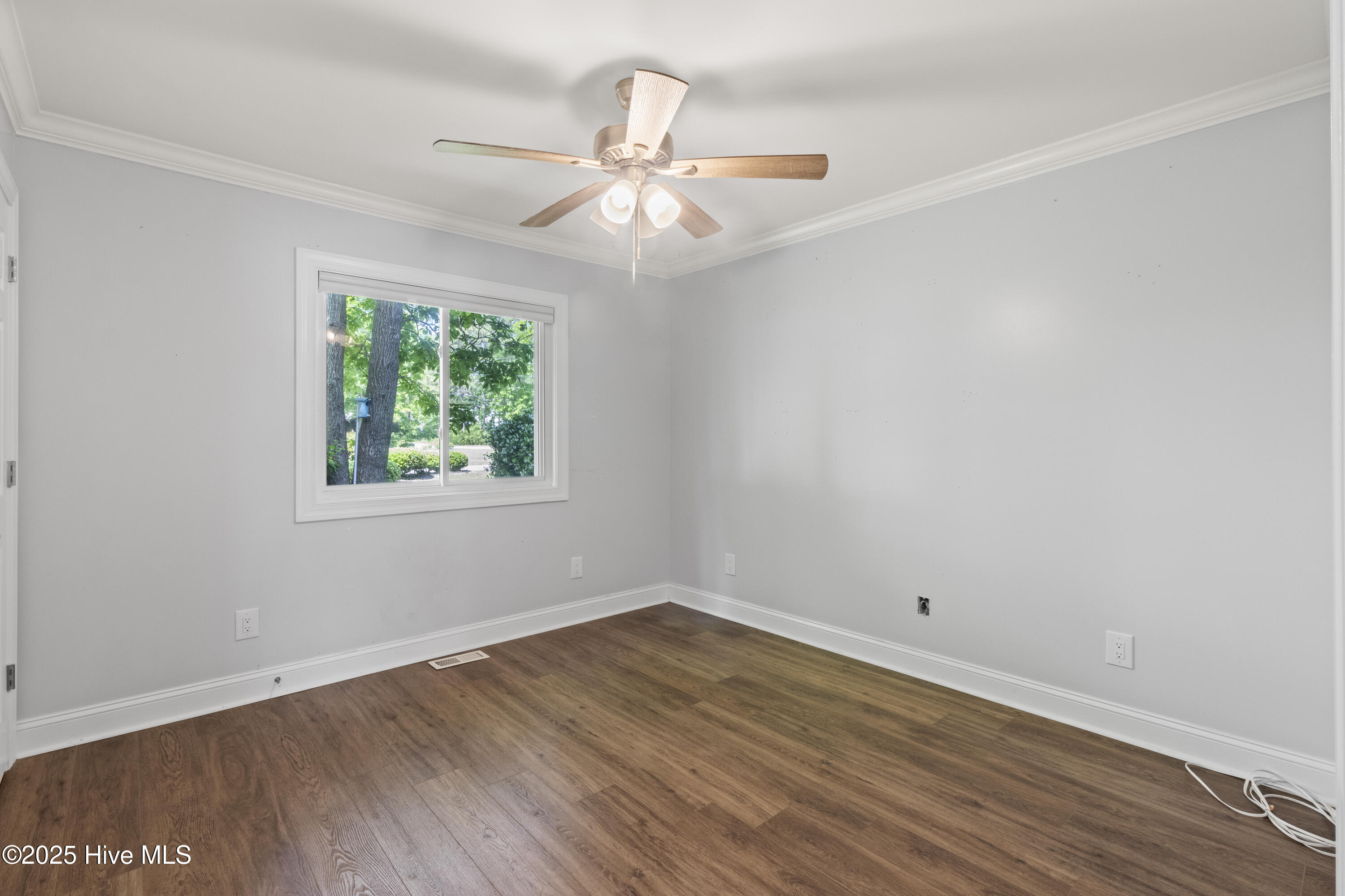 100503584 | Photo 21