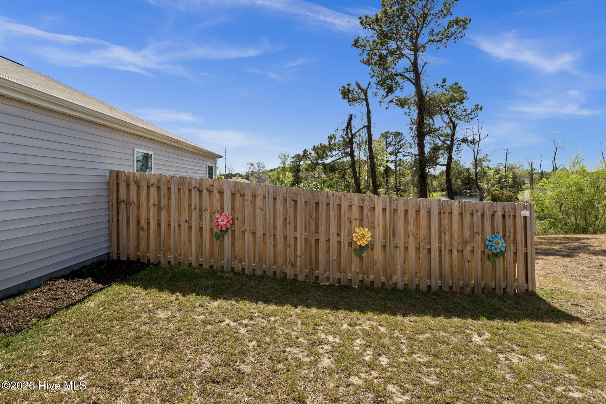 100566662 | Photo 34