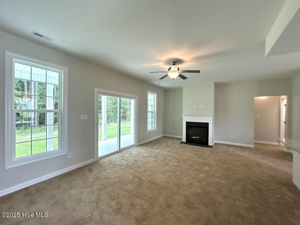 100513411 | Photo 16