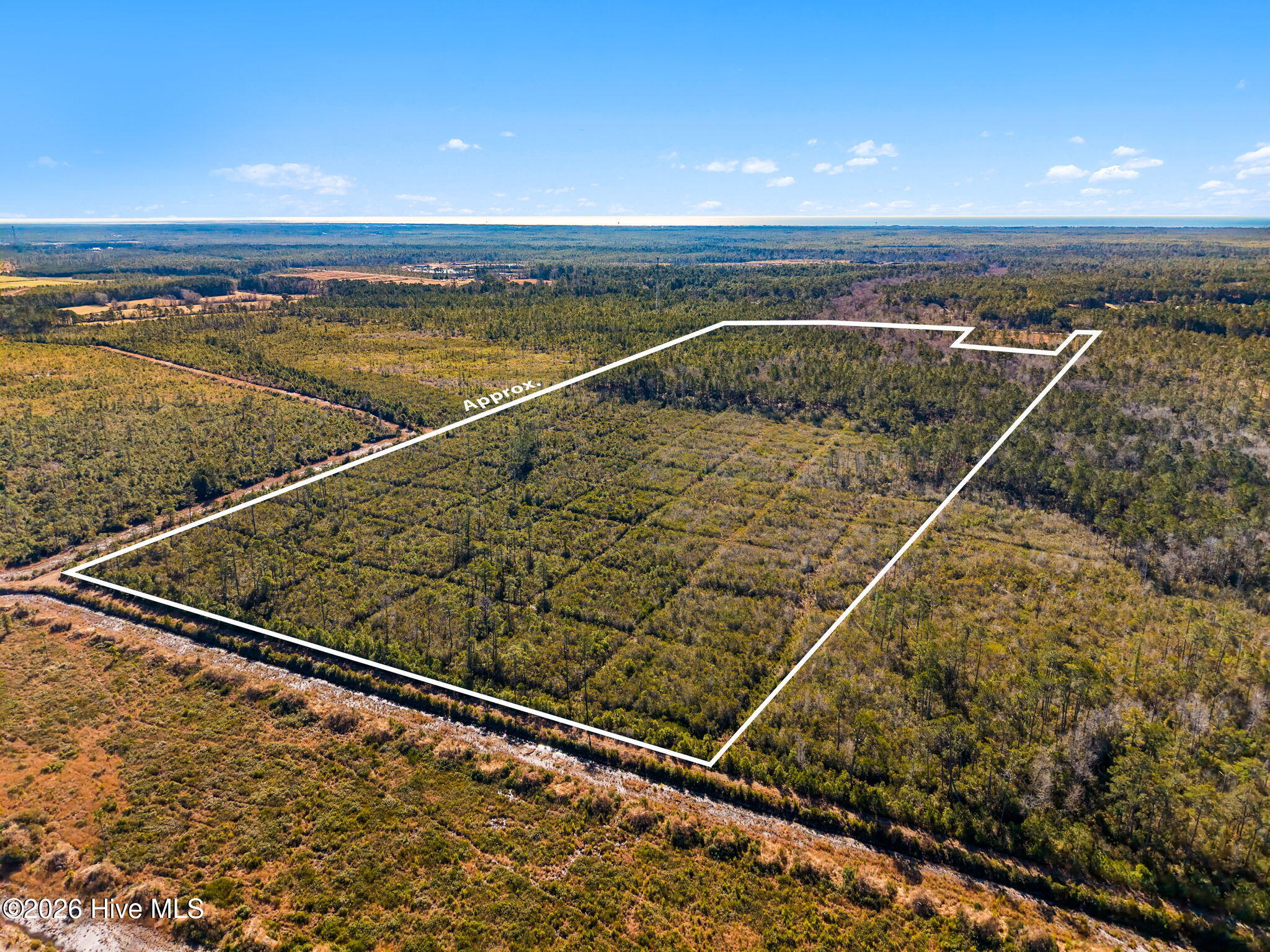 100555013 | Photo 12