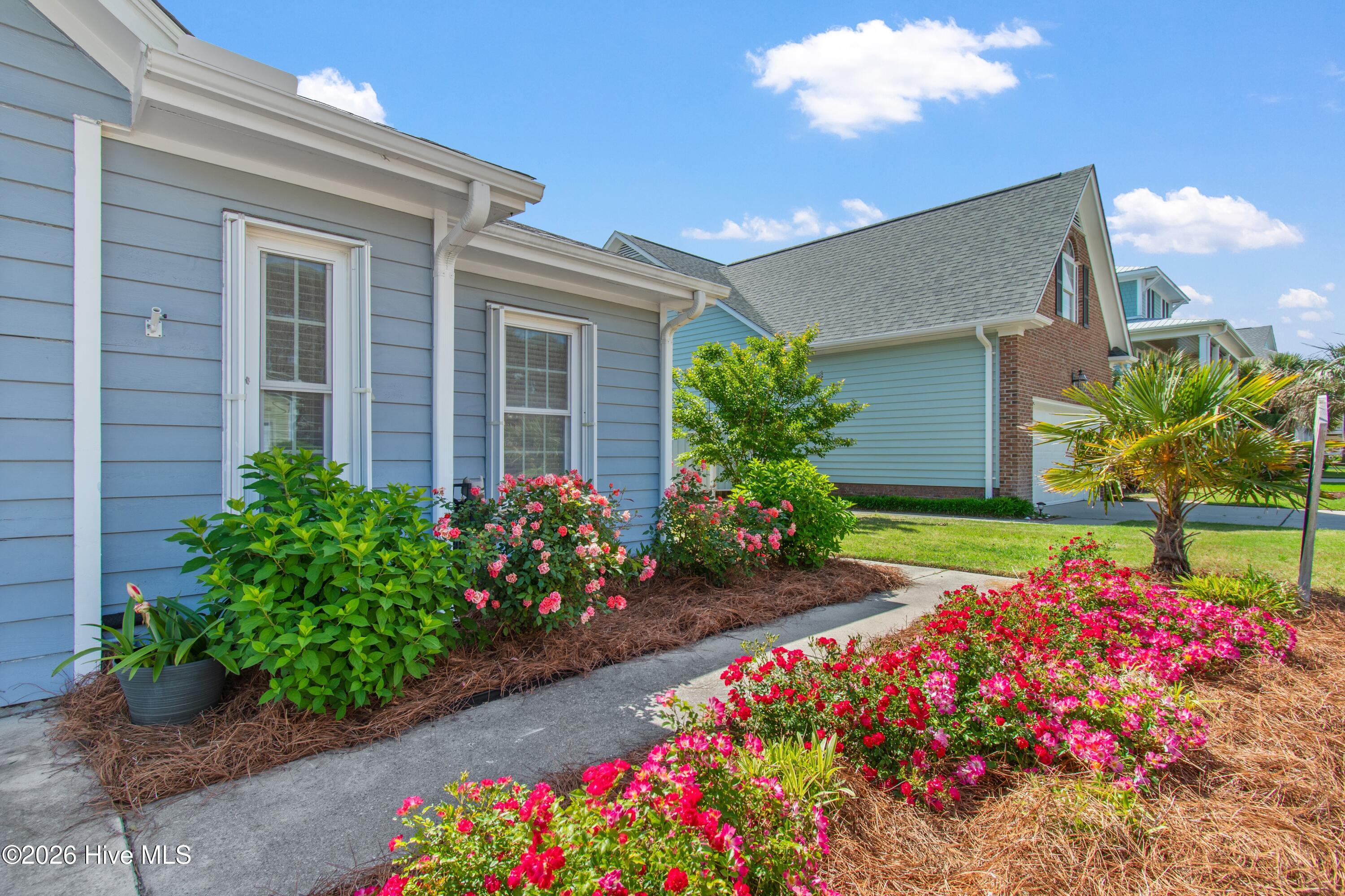 100570489 | Photo 48