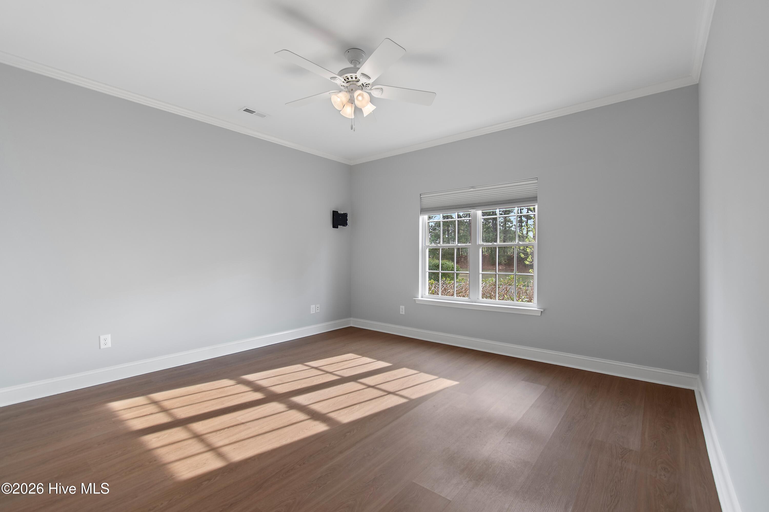 100562545 | Photo 25