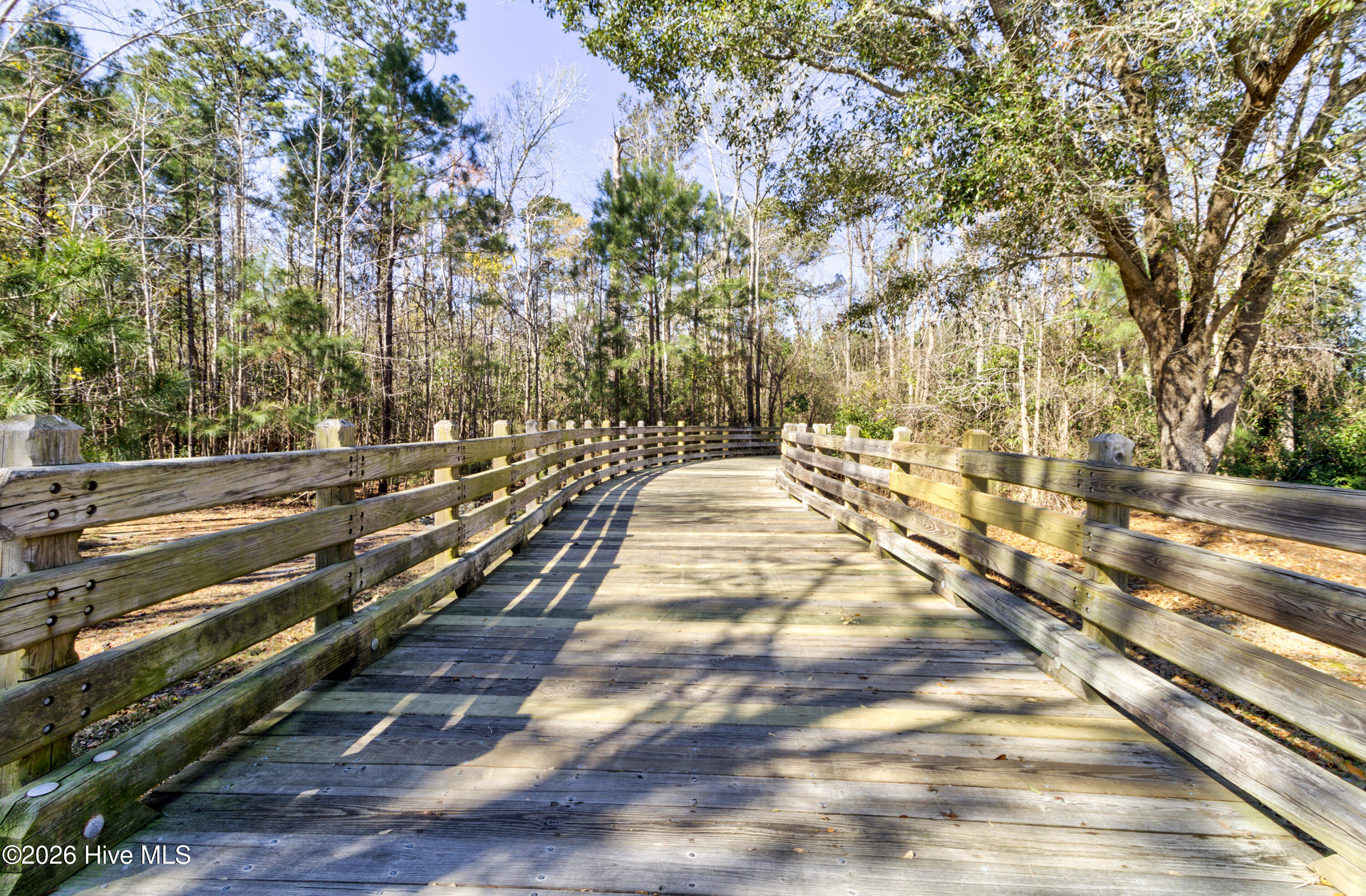 100569553 | Photo 47