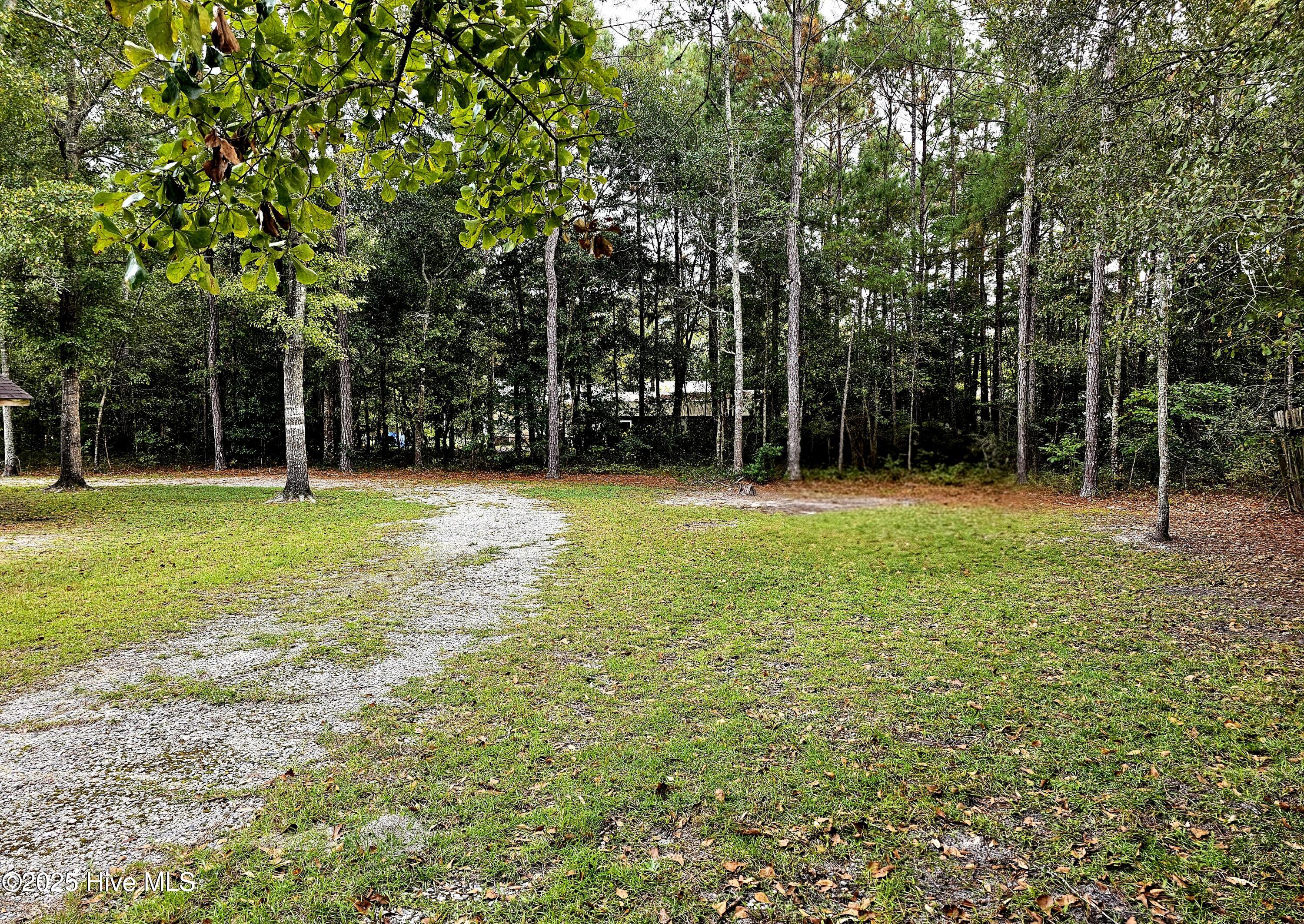 100535573 | Photo 14