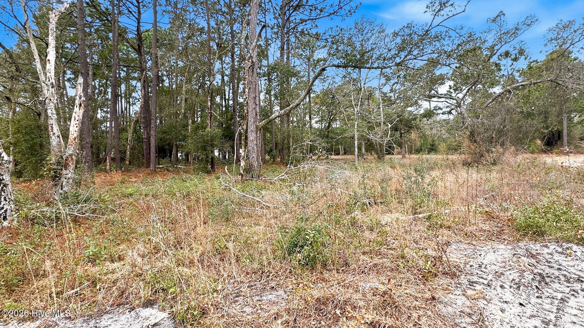Carolina Barrier Islands