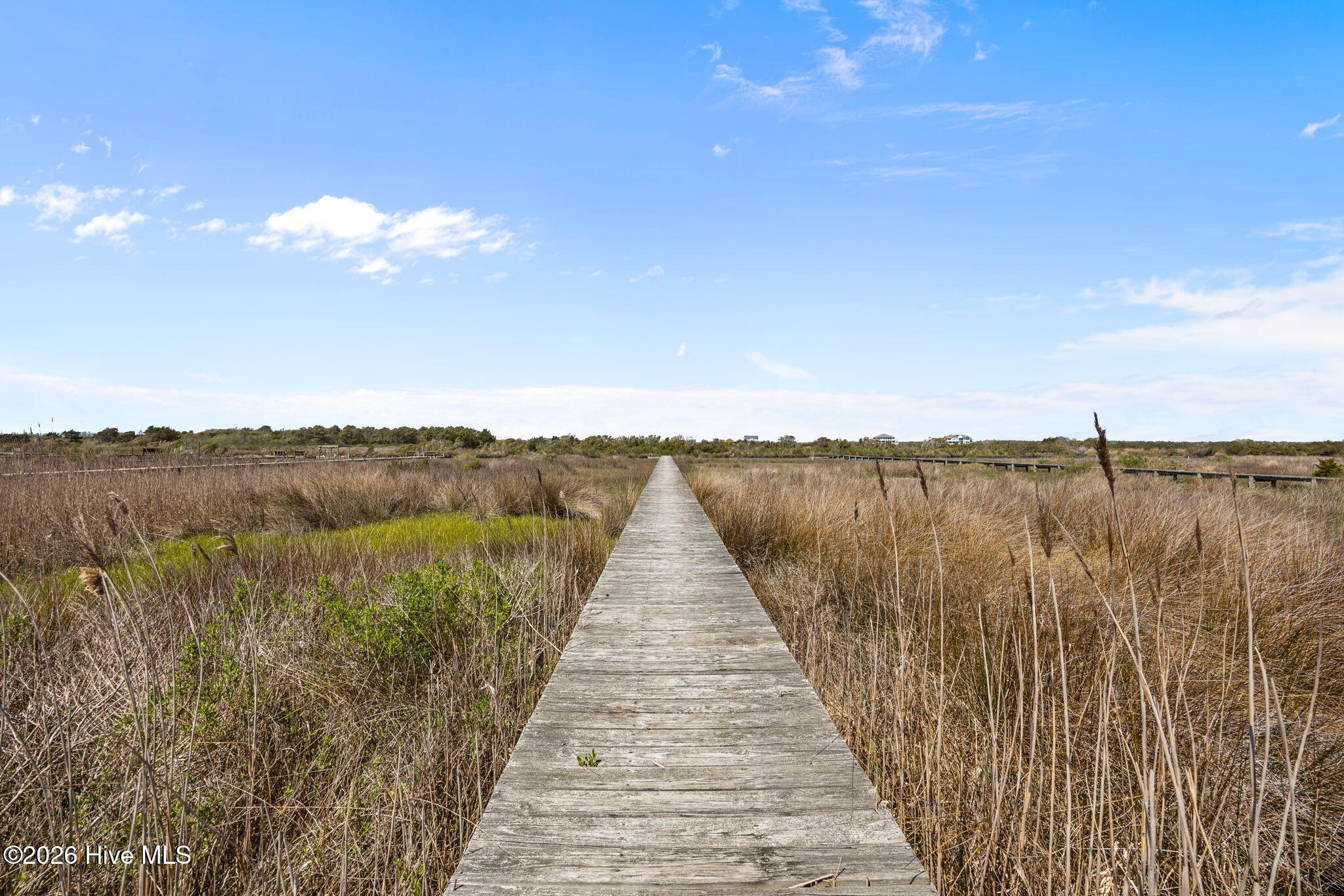 100564989 | Photo 40