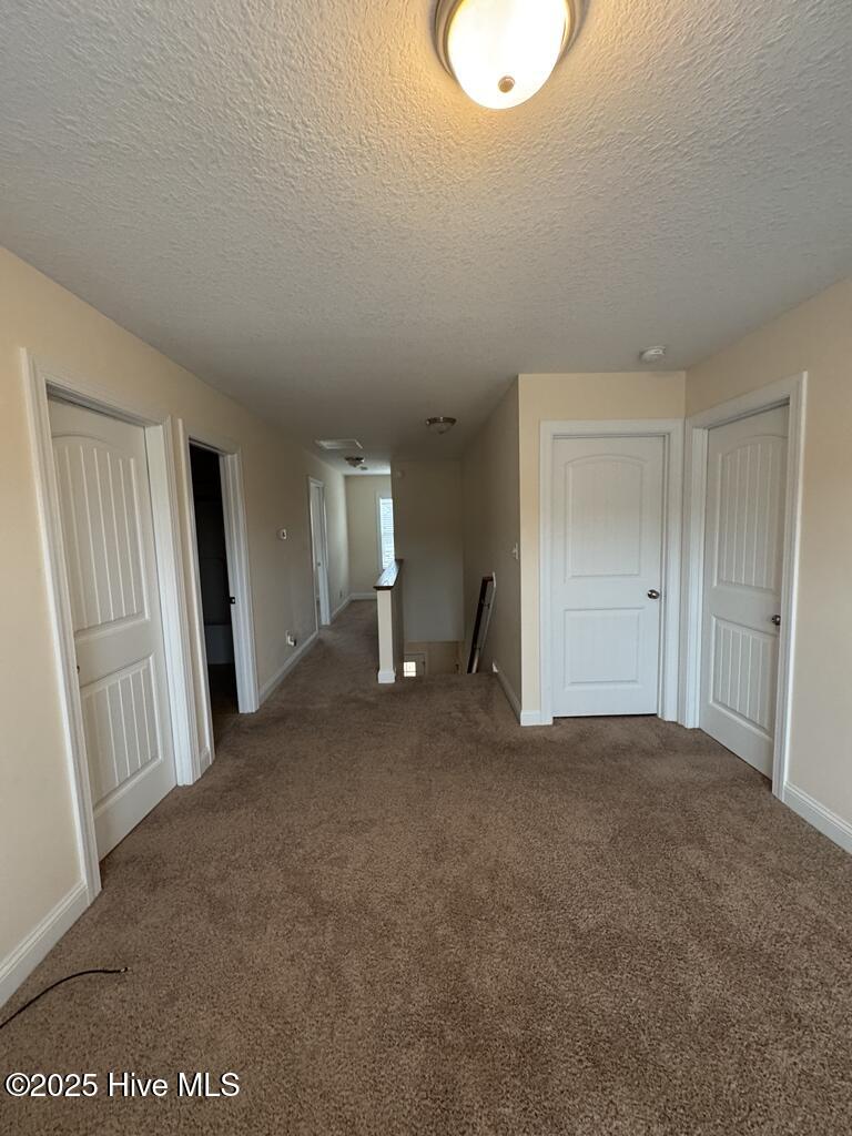 100546507 | Photo 23