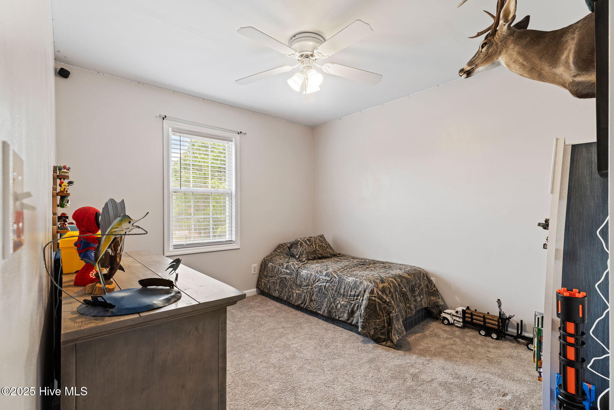 100546580 | Photo 34