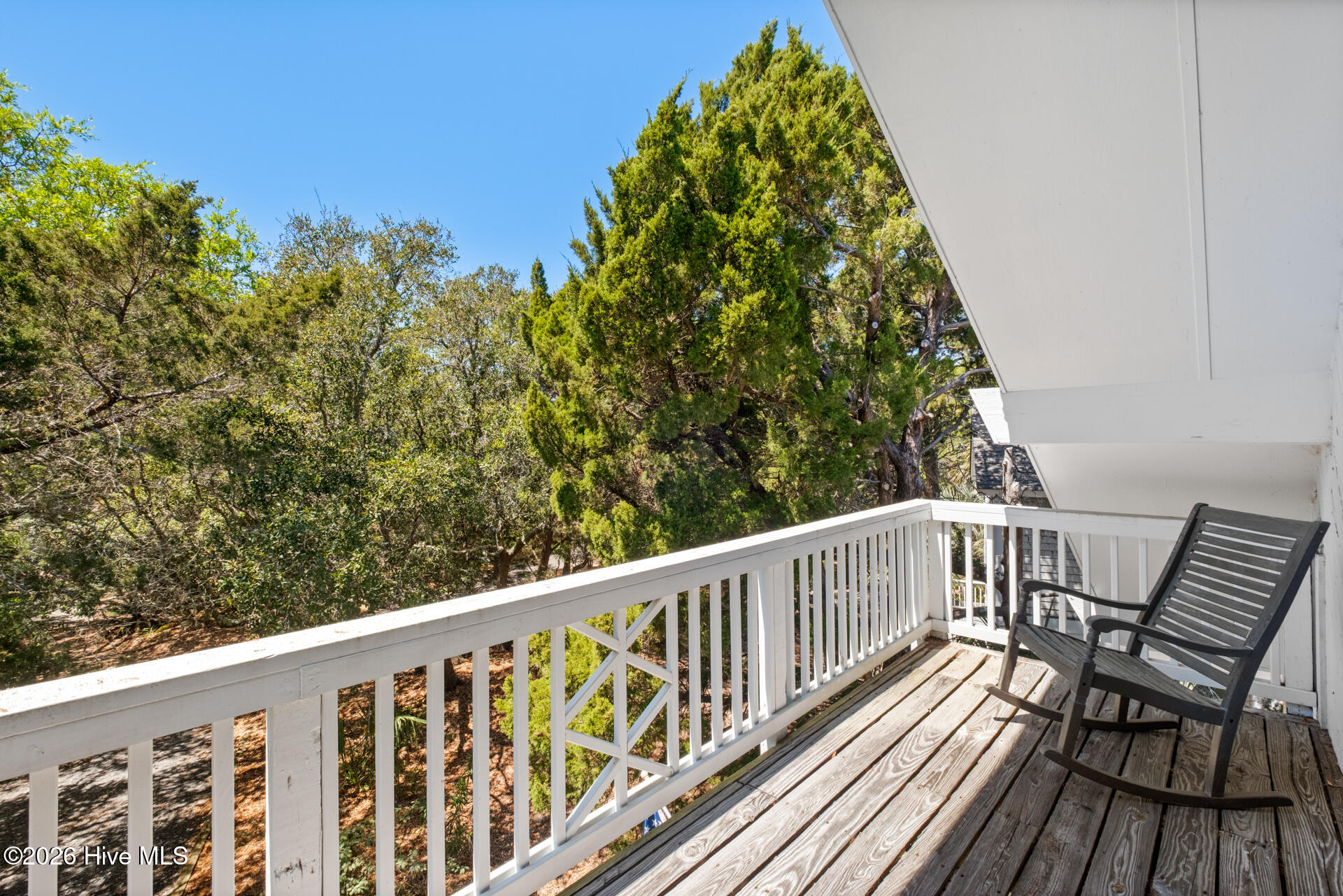 100569244 | Photo 30