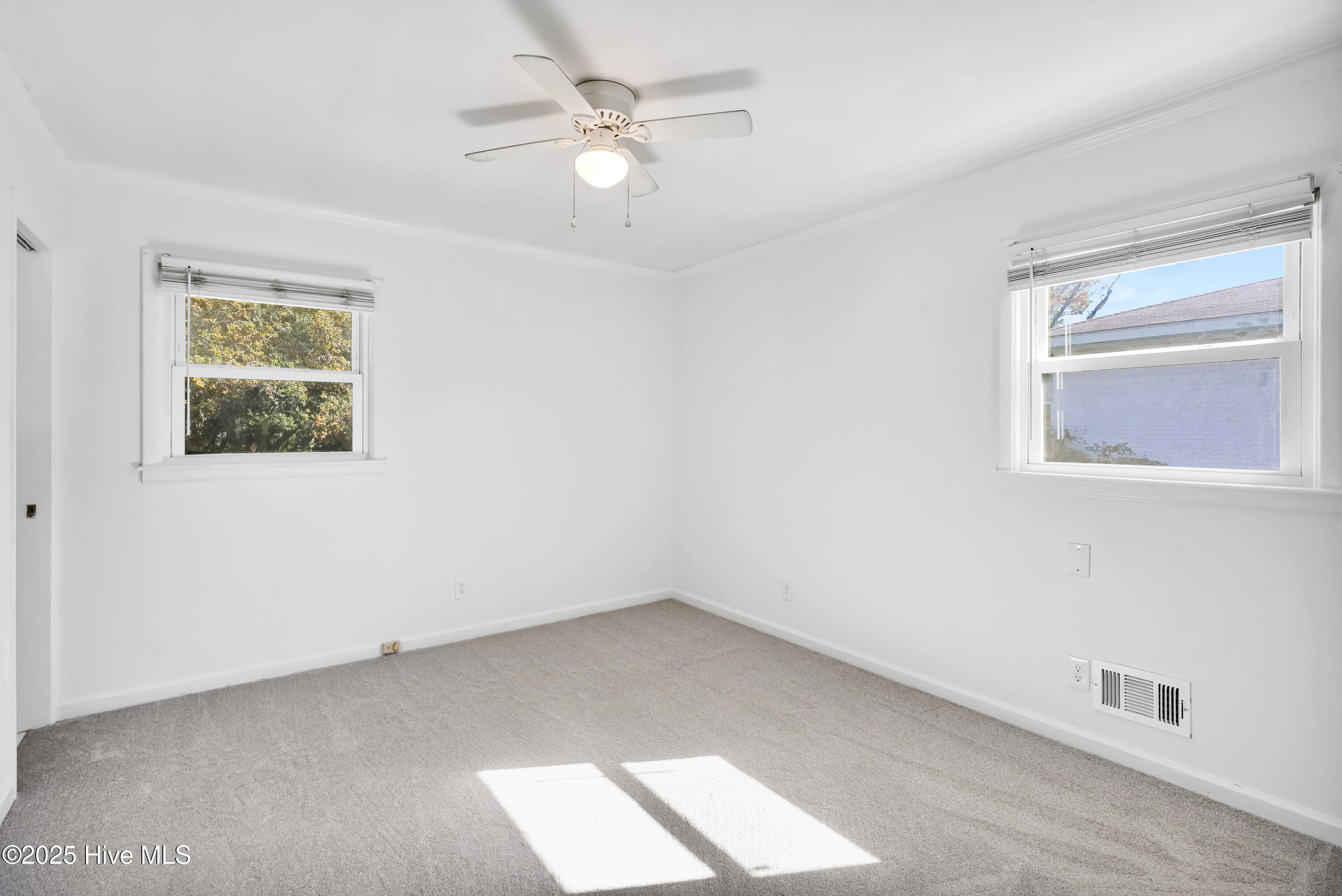 100539794 | Photo 28