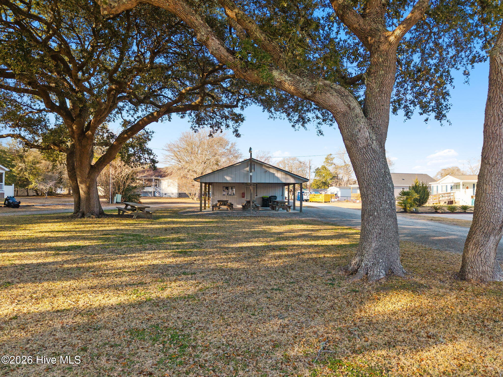 100567854 | Photo 30