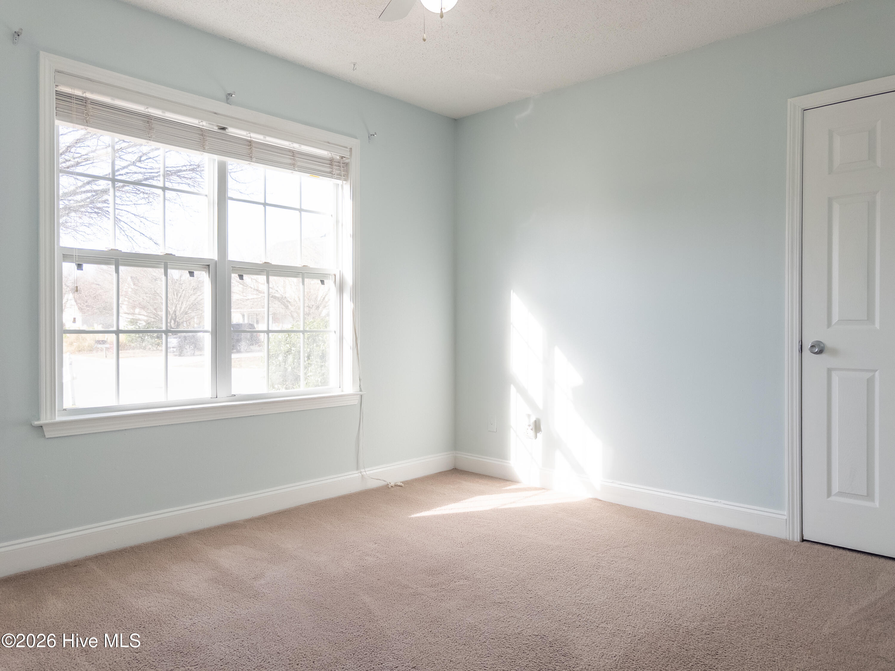 100558413 | Photo 20