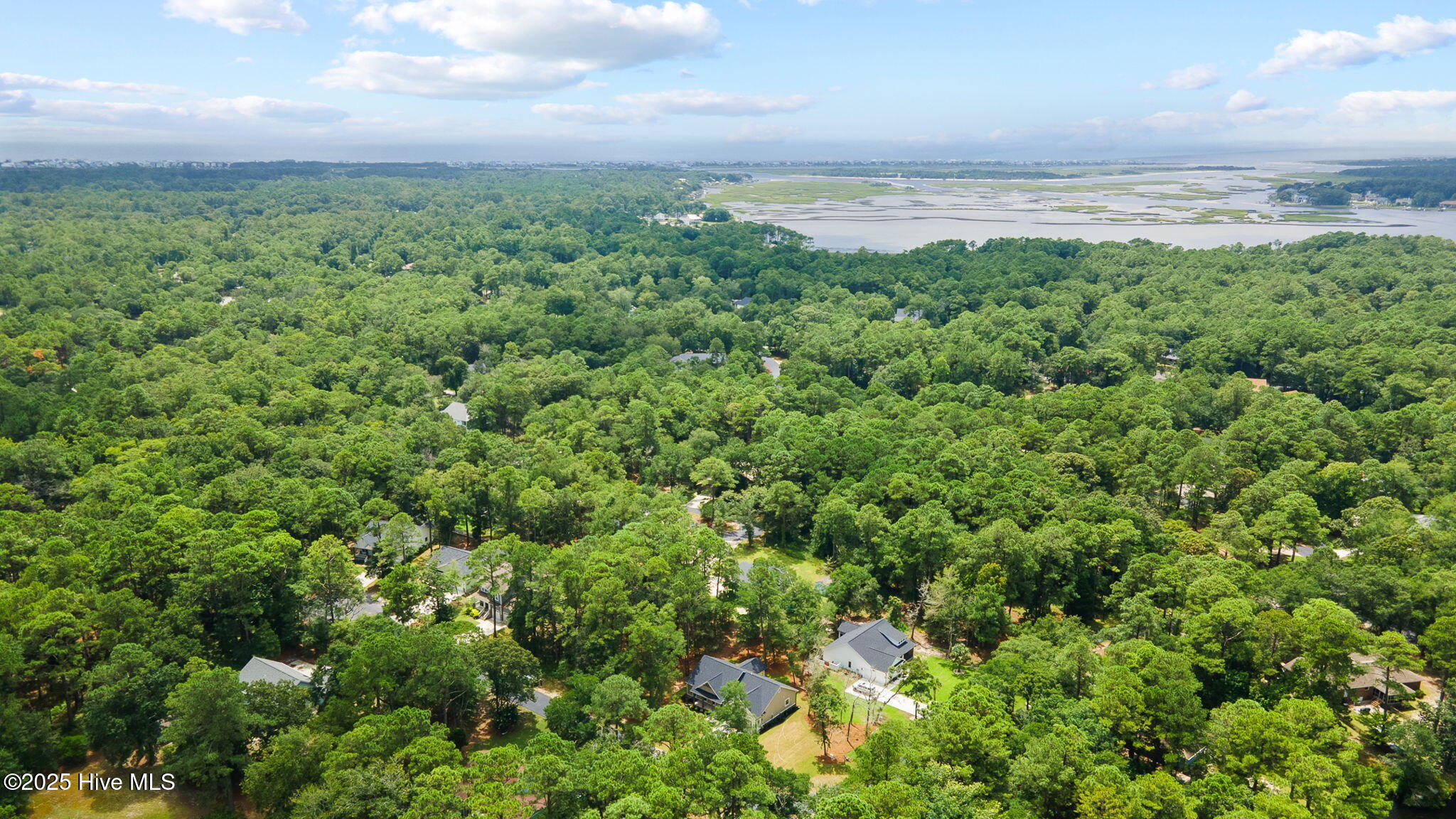 100513726 | Photo 52