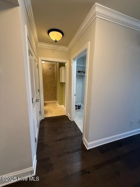 100537767 | Photo 14